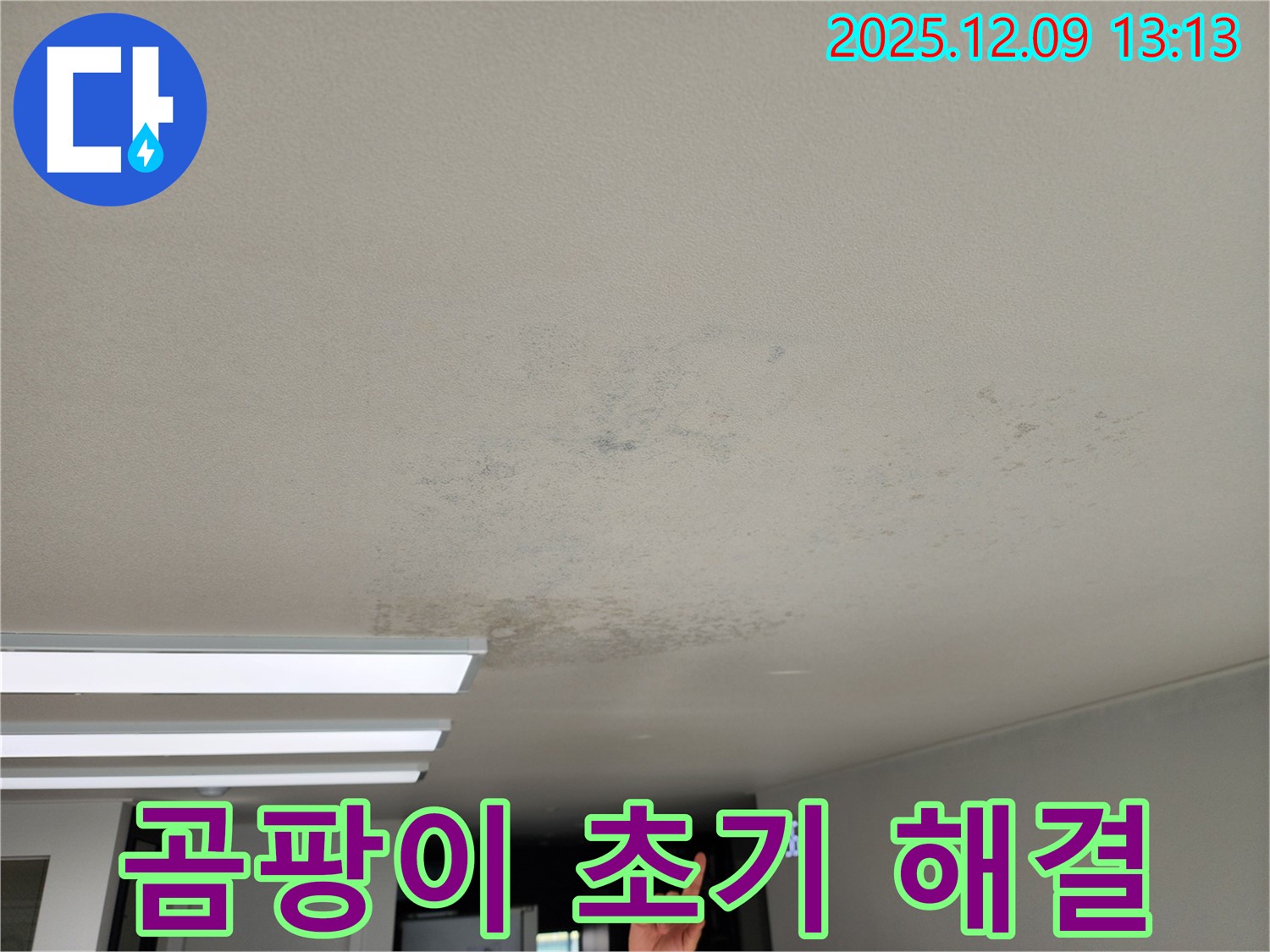 포천시 영중면 - 천장 누수, 곰팡이 발생 초기, 긴급 해결 필요