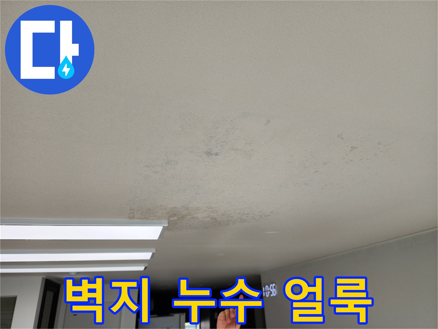 흰색 천장에 나타난 어두운 색의 누수 흔적과 곰팡이