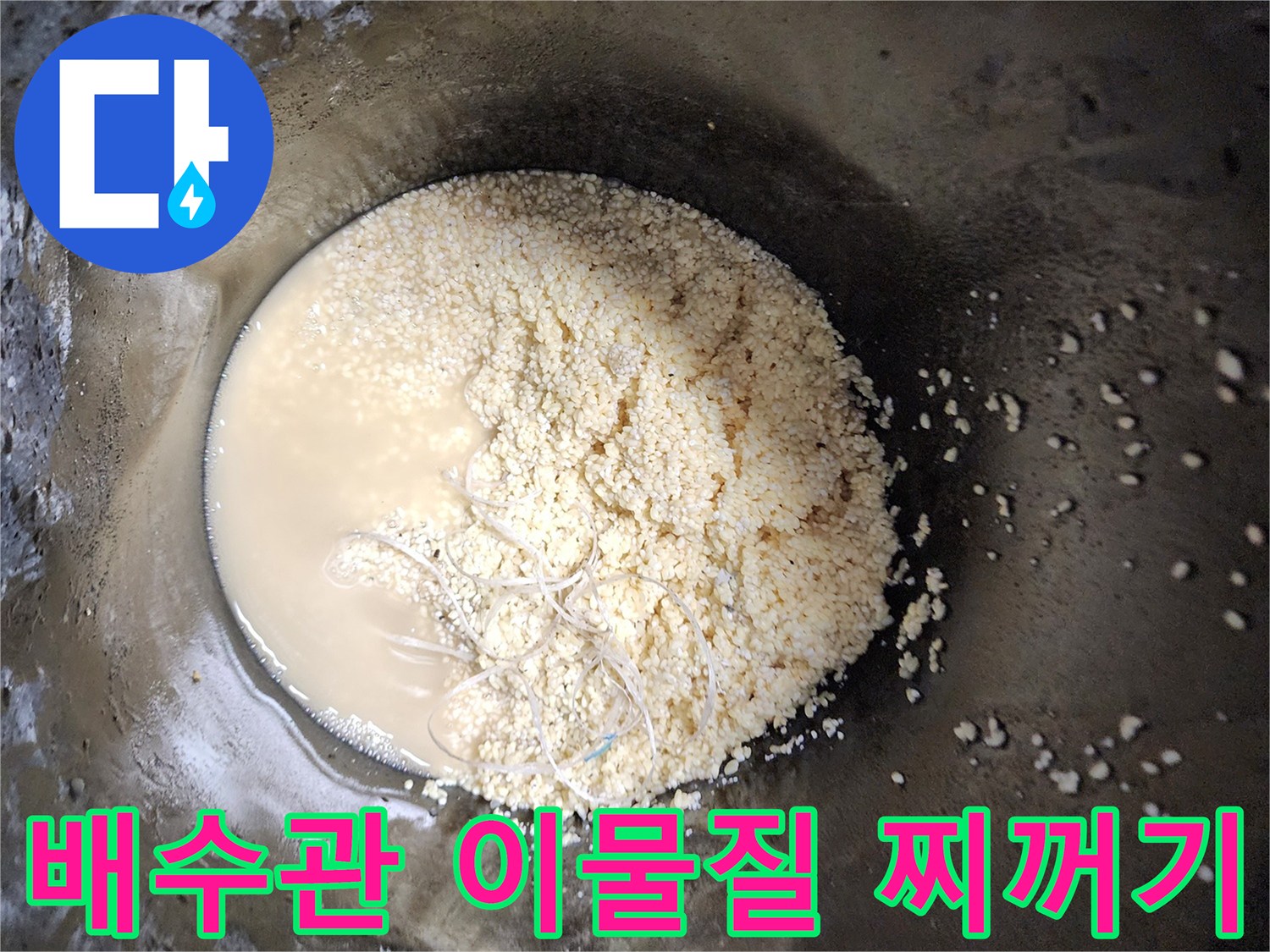 싱크대 배수관에서 추출된 유지방 슬러지와 탁한 오수 상태