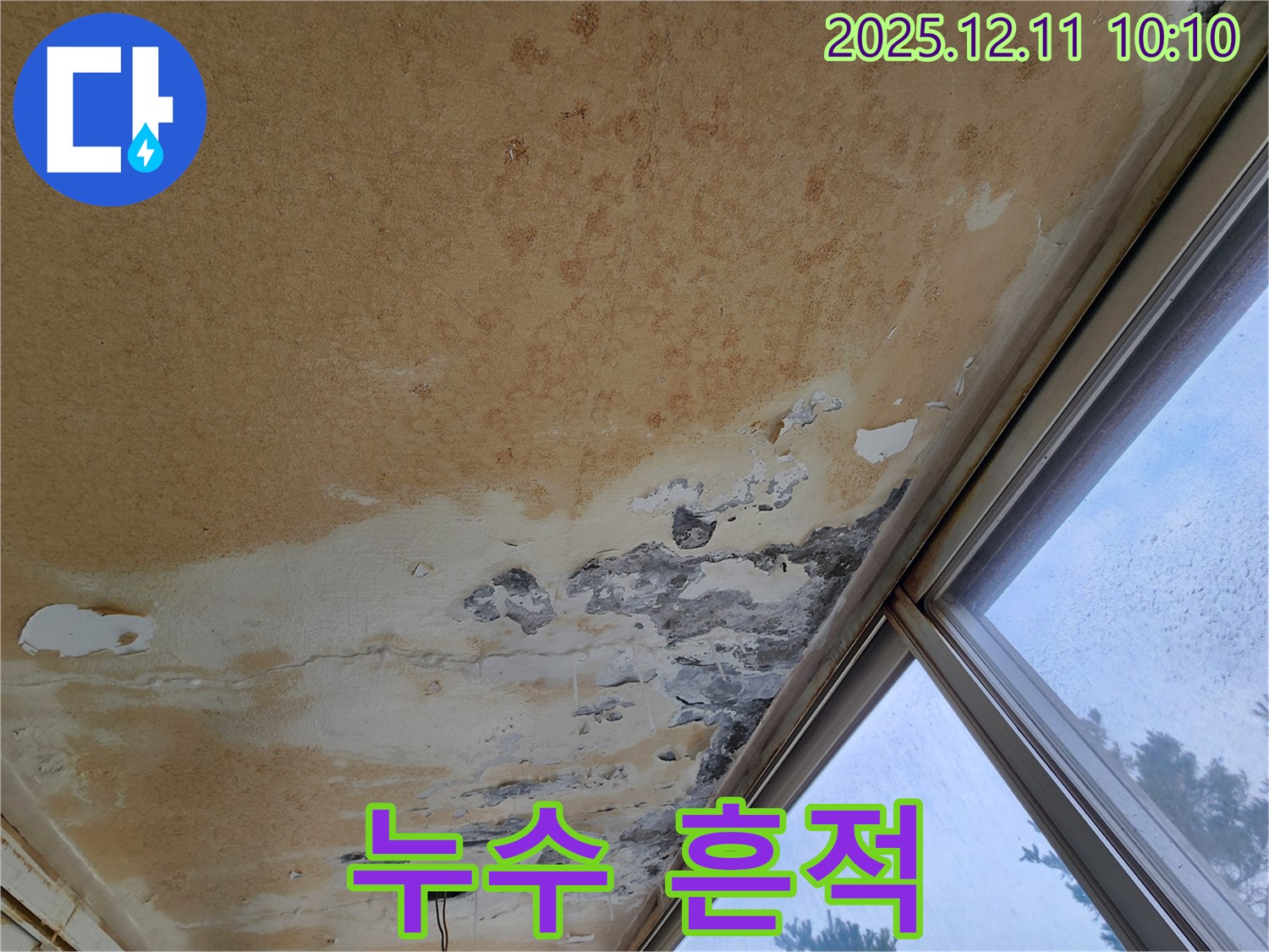 천장에 넓게 퍼진 누수 흔적 - 젖은 자국과 곰팡이가 심각함