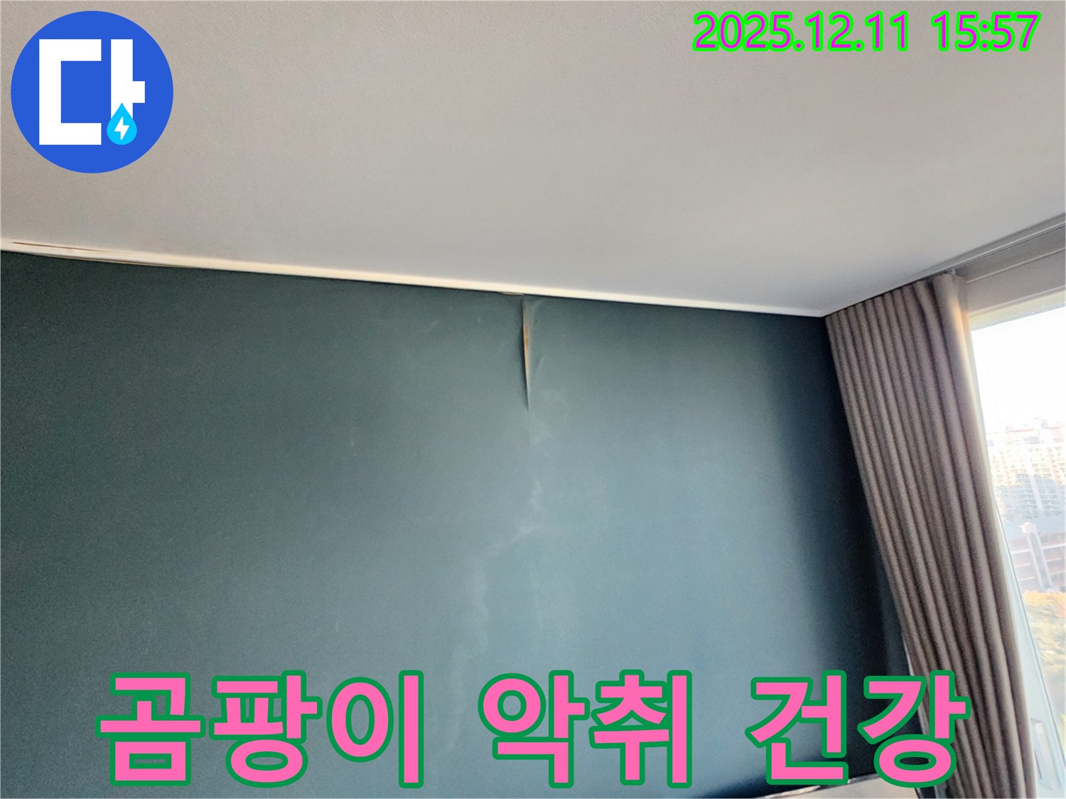 벽지 곰팡이 - 악취 - 건강 위협 - 포천 누수 전문가의 3중고 해결