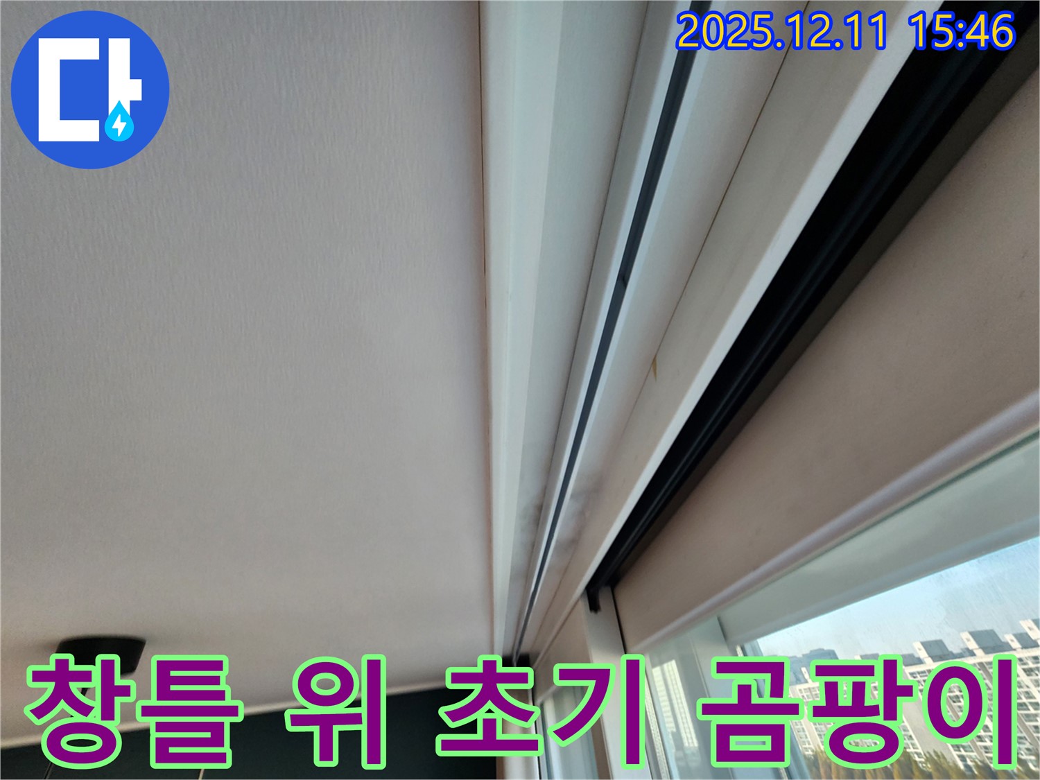 포천시 영중면 창틀 위 초기 곰팡이 - 빠른 진단으로 큰 문제 예방