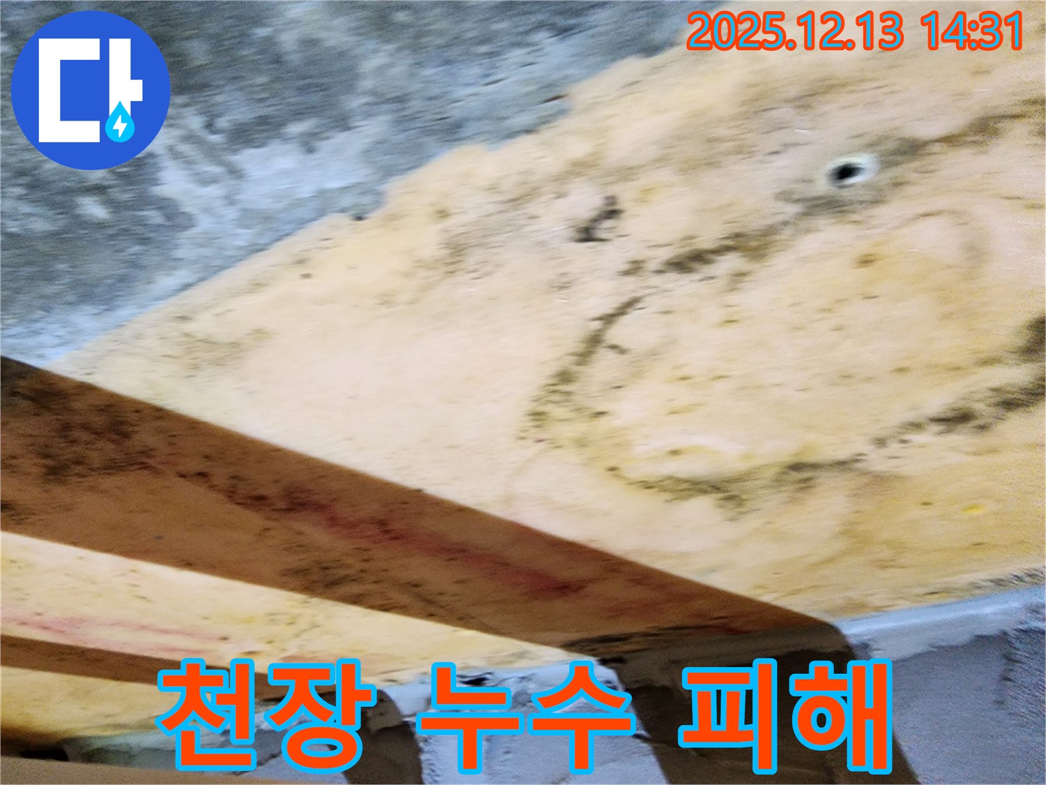 천장 누수 피해 - 곰팡이와 함께 천장이 손상된 모습