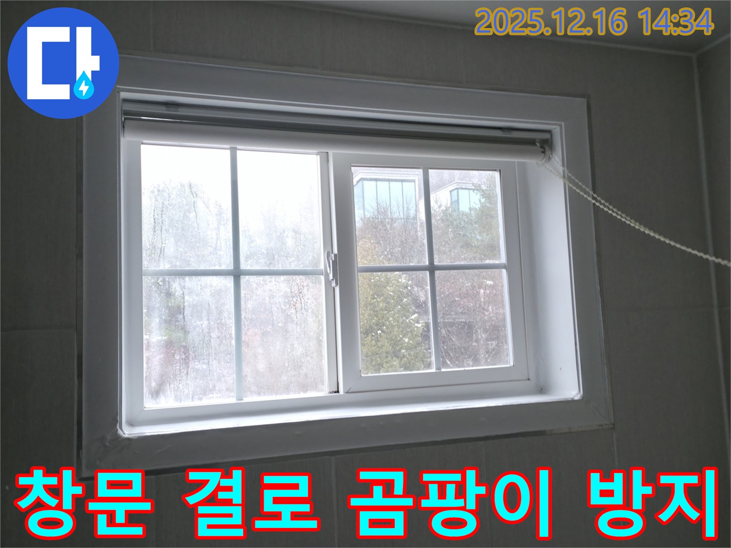 홍천 팔봉강변길 창문 결로 및 곰팡이 - 완벽 제거 및 방지 시공으로 쾌적한 환경을!