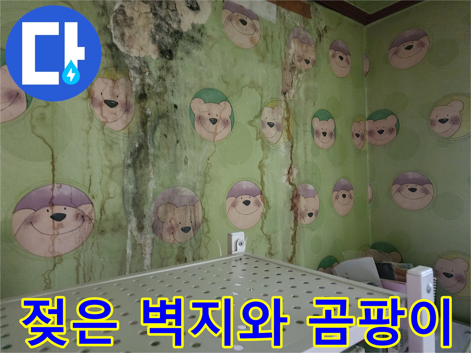 물기가 스며든 캐릭터 패턴 벽지 - 누수 피해 현장 촬영