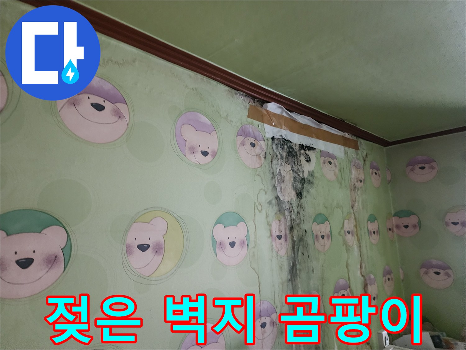 물기가 스며들어 곰팡이가 발생한 캐릭터 벽지