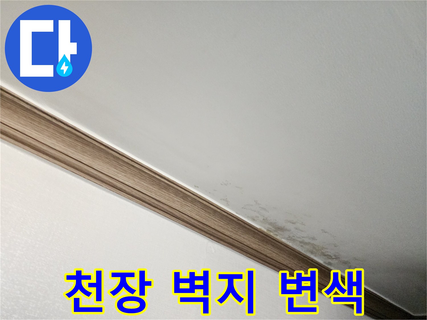 습기가 침투하여 곰팡이와 함께 얼룩진 천장 몰딩 부근