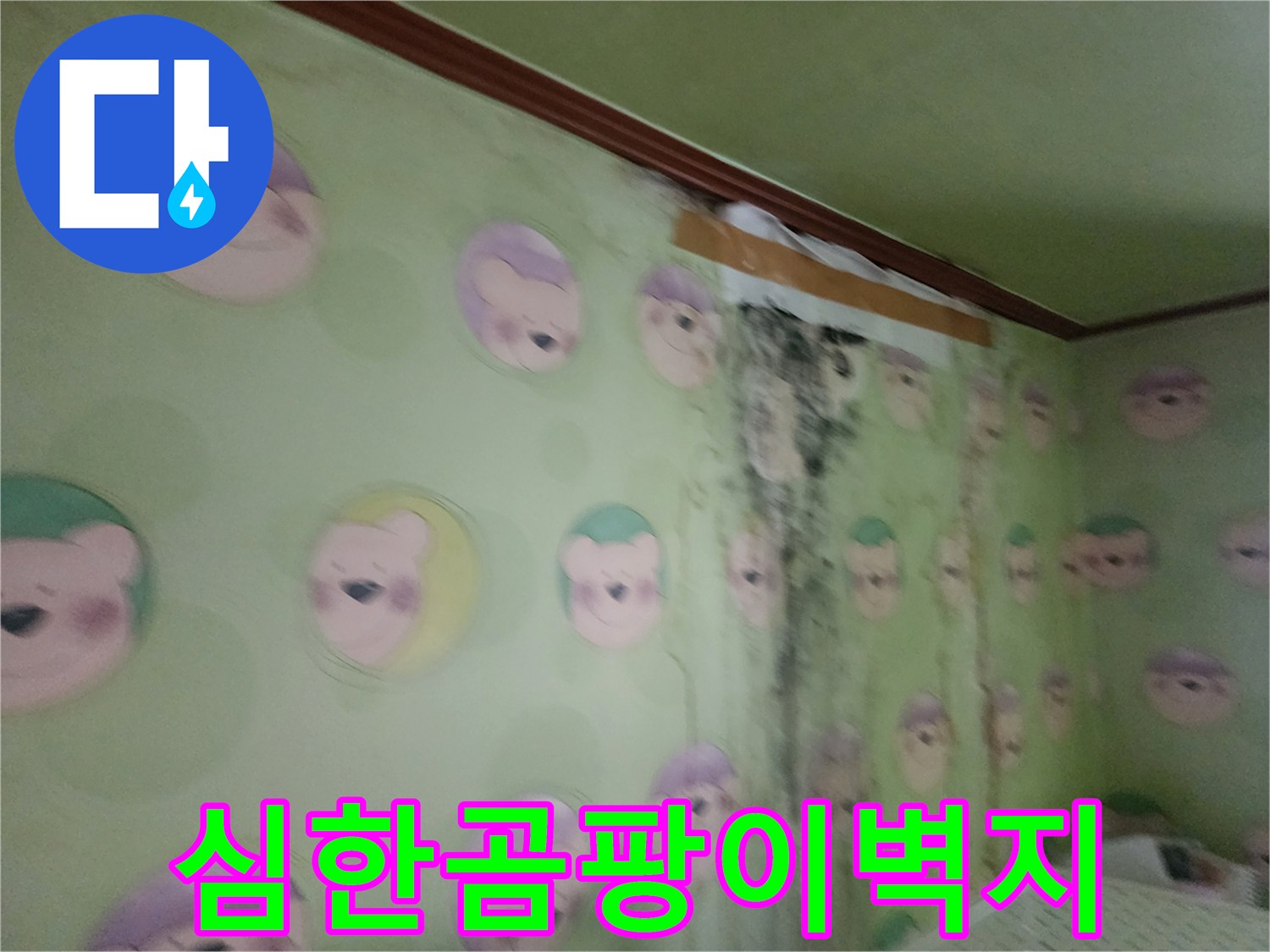 습기에 젖어-변색된 벽지와 곰팡이 자국