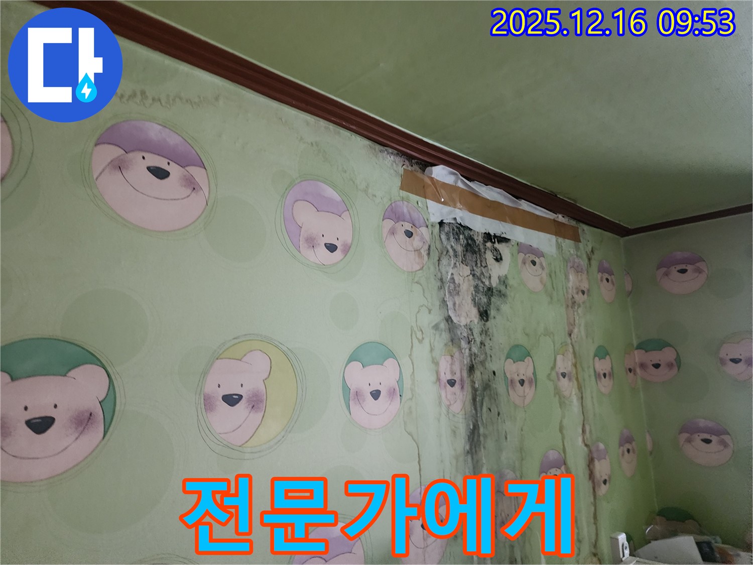 아이 방 곰팡이 제거 작업을 진행하는 전문가의 모습 - 곰팡이 제거, 이제 안심하고 전문가에게 맡기세요.