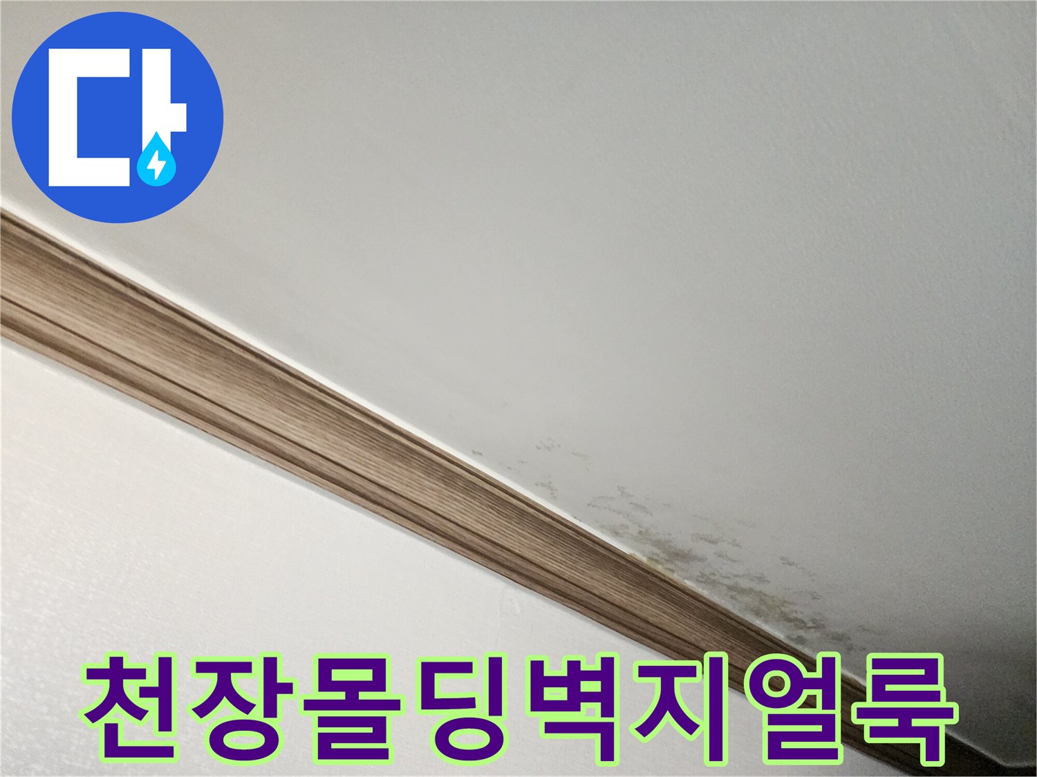 천장 몰딩 부근에 나타난 벽지 변색과 얼룩 현상