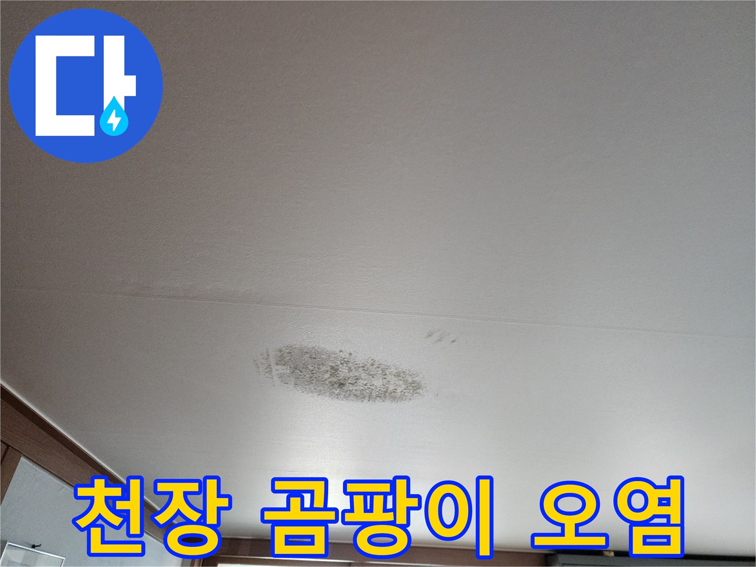 천장 도배지에 발생한 검은색 곰팡이와 습기 흔적