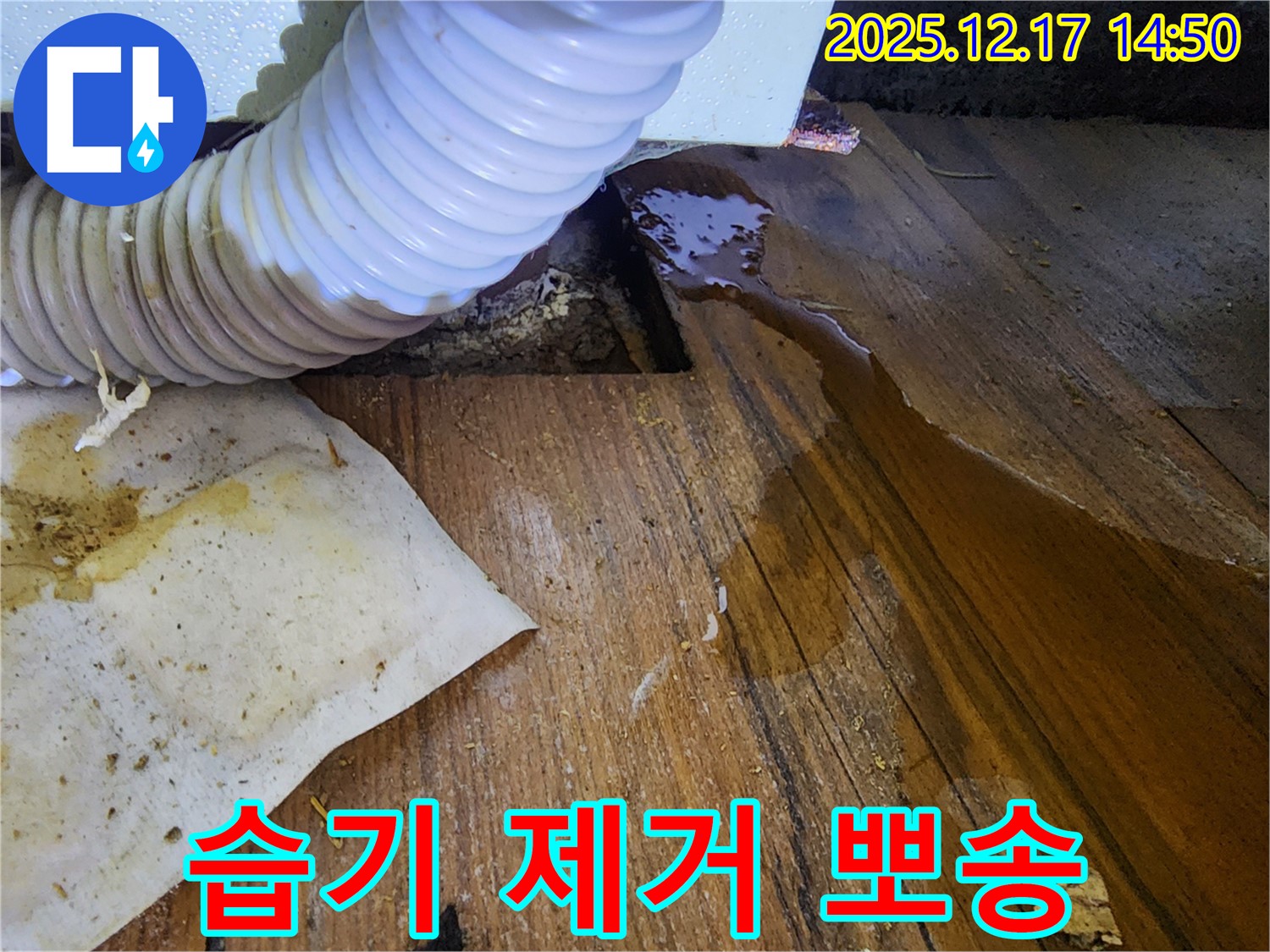 포천시 영북면 대회리 누수 - 싱크대 하부장의 습기를 제거하여 뽀송뽀송하게 변신시키는 모습입니다.