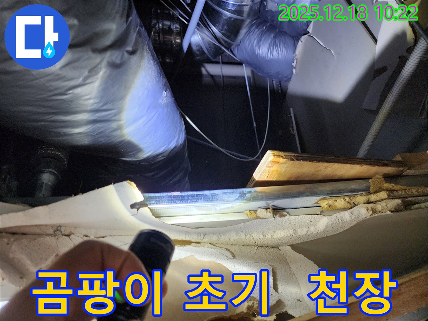 포천 영북면 천장 속 누수 - 곰팡이 발생 초기 단계 발견