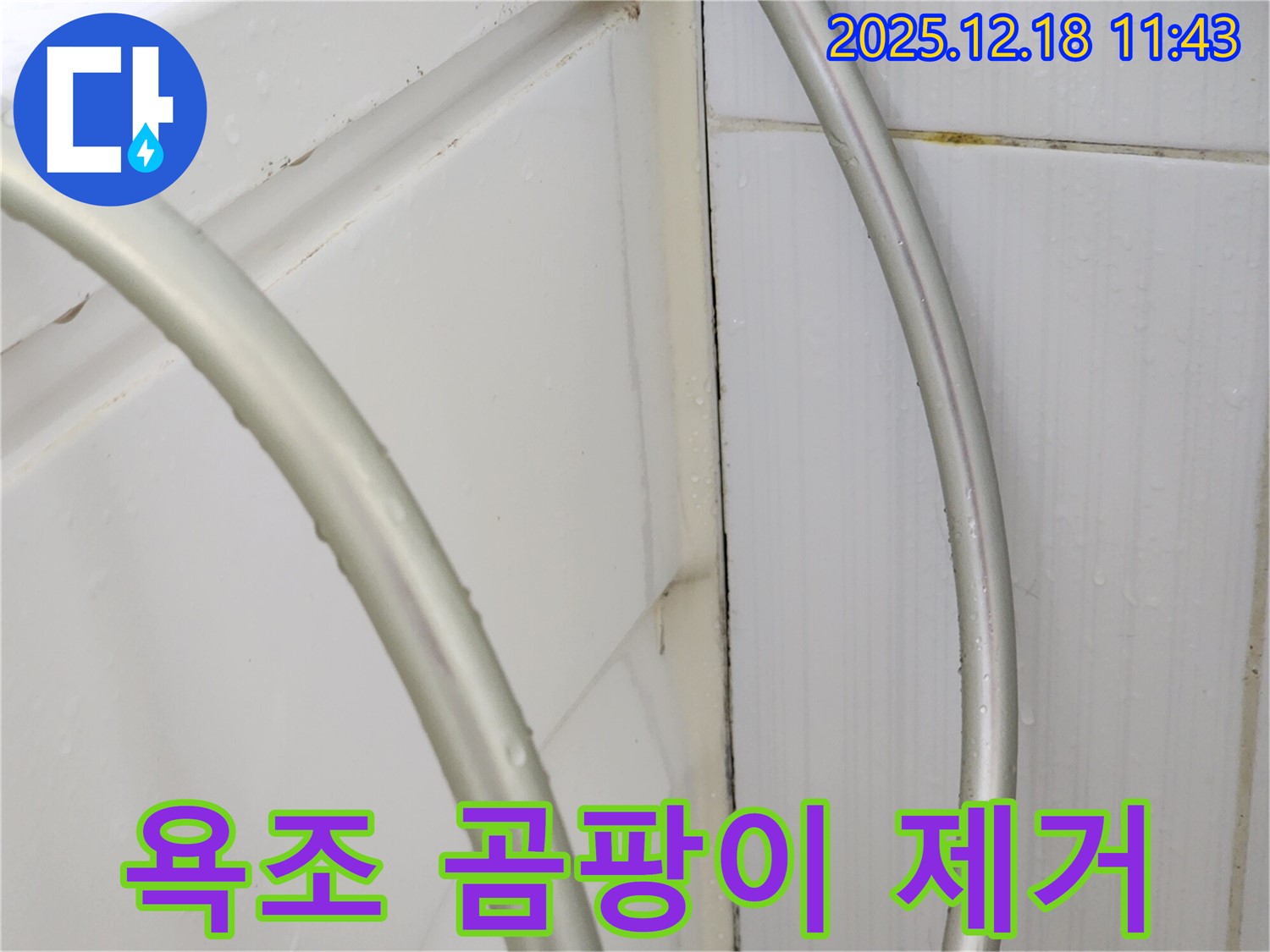 포천 영북면 가채리 욕조 곰팡이 제거 - 실리콘 재시공으로 누수 해결