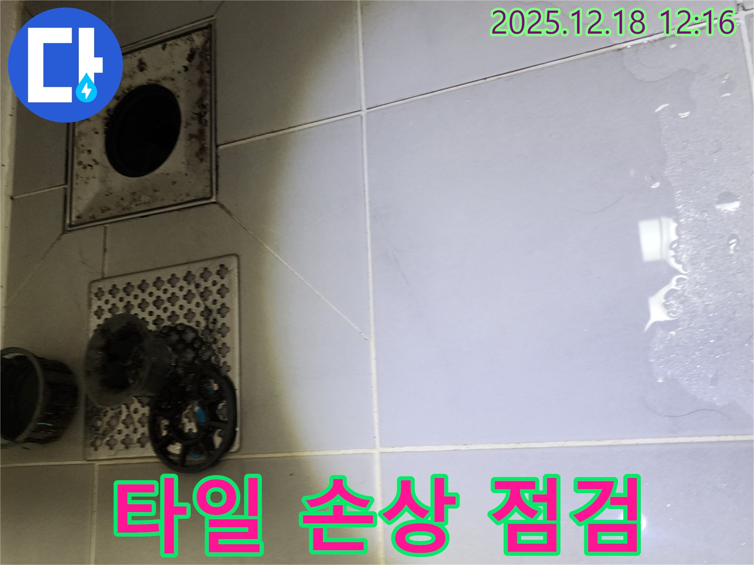 포천시 영북면 가채리 욕실 하수구 주변 타일 손상 누수 가능성 집중 점검 - 누수 전문가가 타일 손상 부위를 집중적으로 점검하여 누수 원인을 찾습니다.