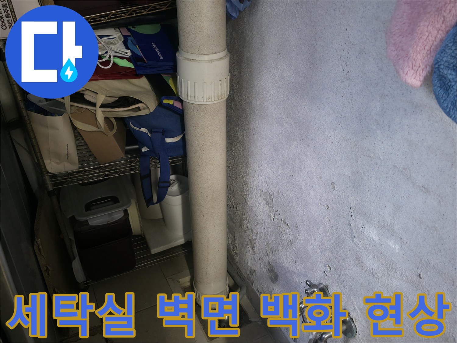 성동구 옥수동 세탁실 벽면에 나타난 하얀 백화 현상과 습기 흔적