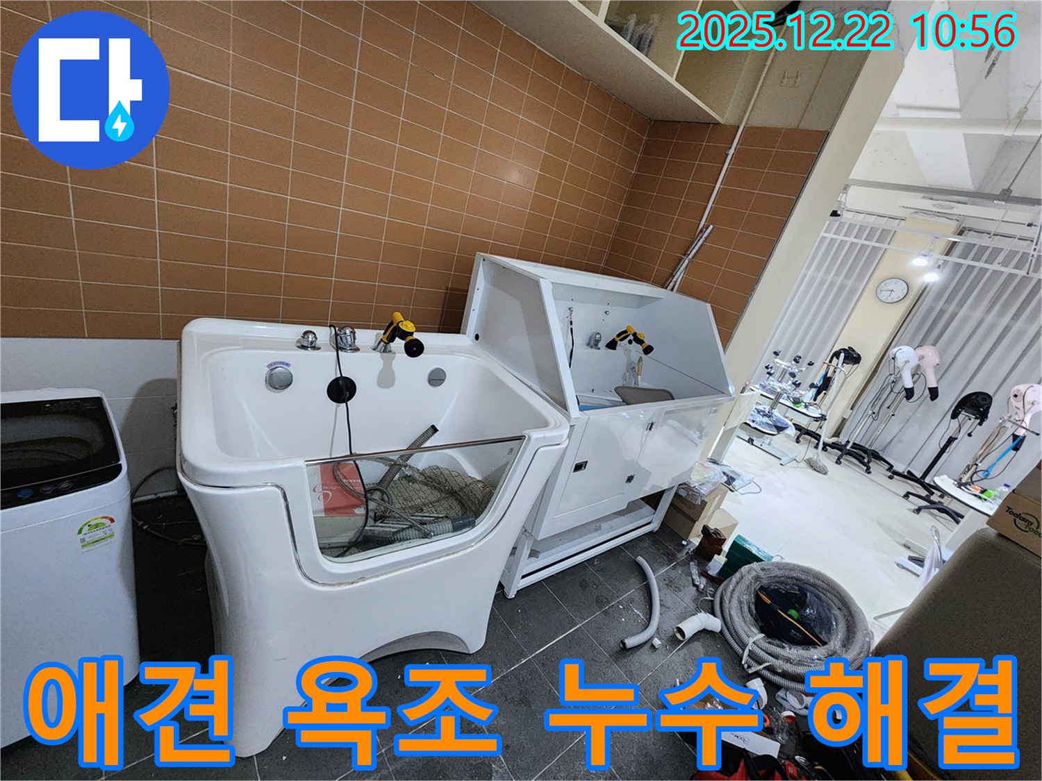 노원구 월계동에서 애견 욕조 누수 문제를 해결하고 고객 만족을 위해 최선을 다했습니다 - 믿고 맡겨주세요!