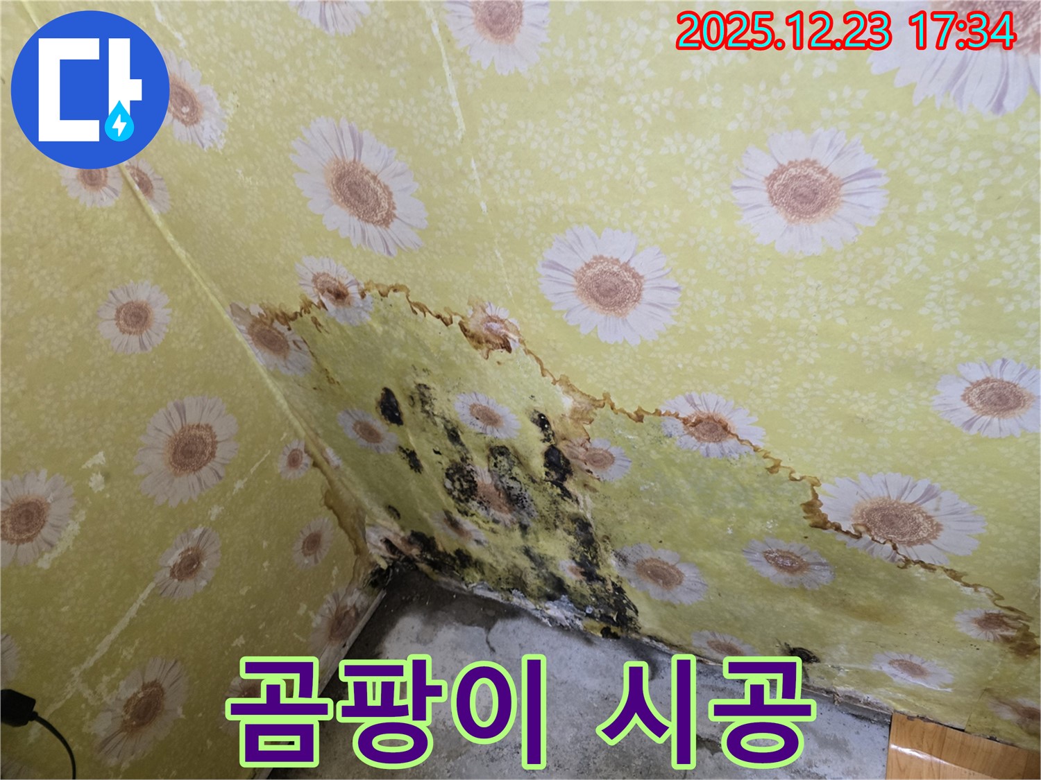 동두천 생연동 누수 및 곰팡이 시공 - 원인 진단부터 완벽 해결 책임