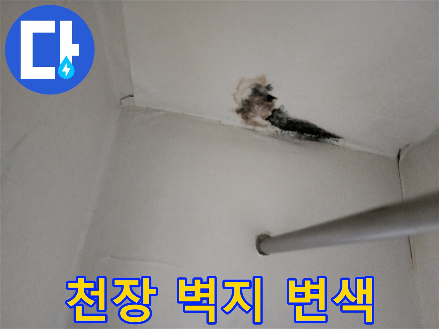 누수로 인해 곰팡이가 발생한 천장 구석 부위