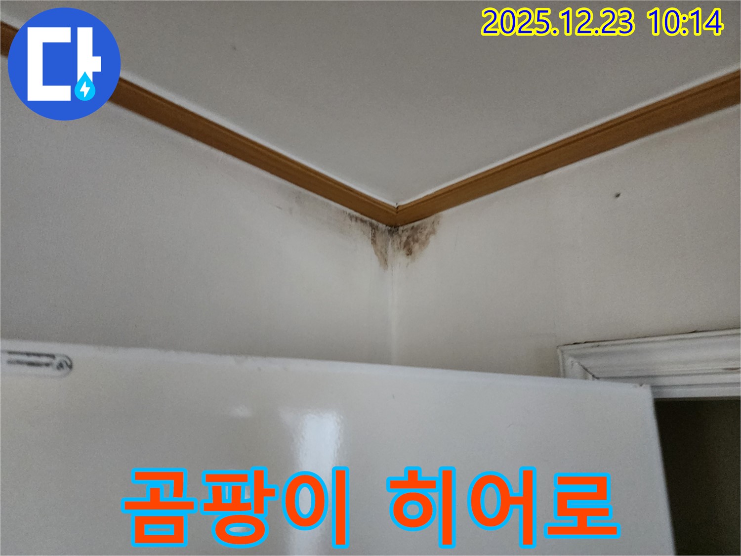 천장 곰팡이 - 곰팡이를 잡는 히어로, 누수 해결 전문가의 모습을 상징합니다.
