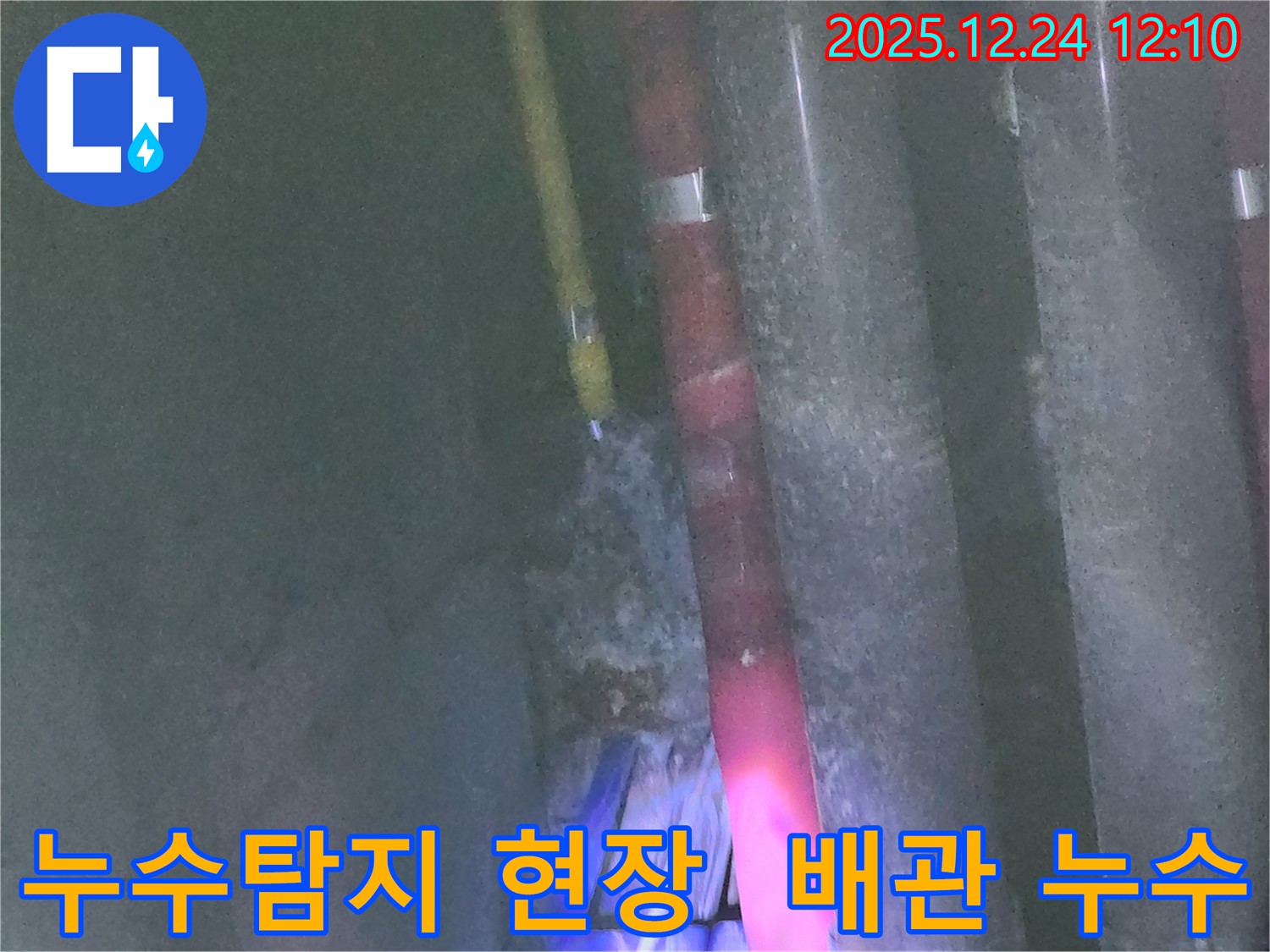 노원구 중계동 누수탐지 현장 - 꼼꼼한 전문가가 배관 누수를 진단하고 있습니다.