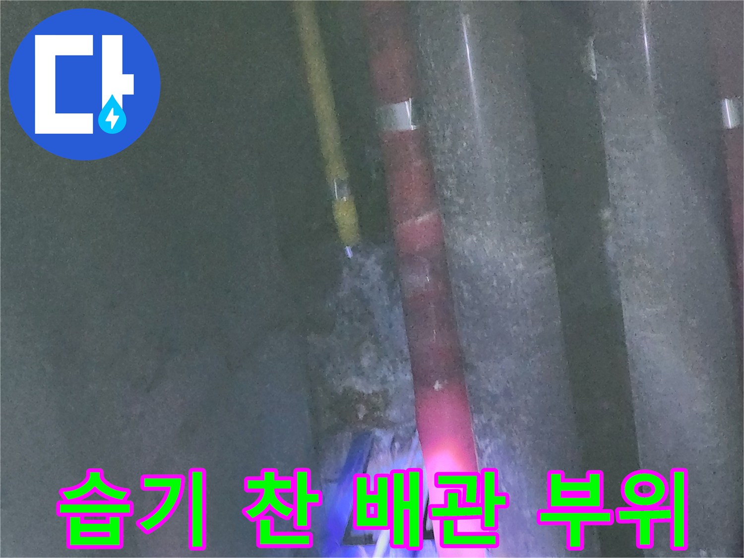 중계동 현장-물샘으로 인해 젖어 있는 싱크대 하부 배관 구조