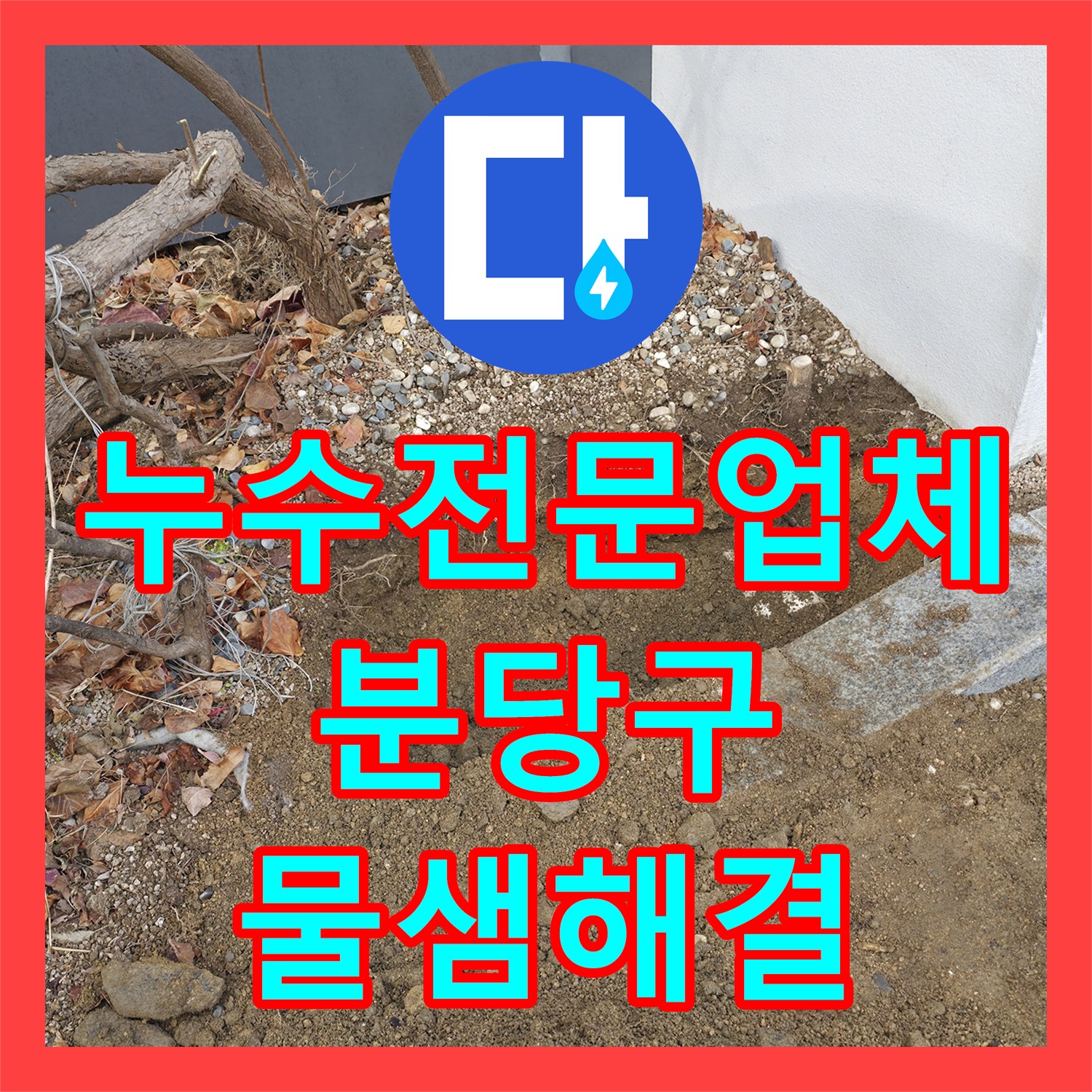 누수전문업체 가스 탐지로 찾아낸 마당 지하 배관 파손 성남시 분당구