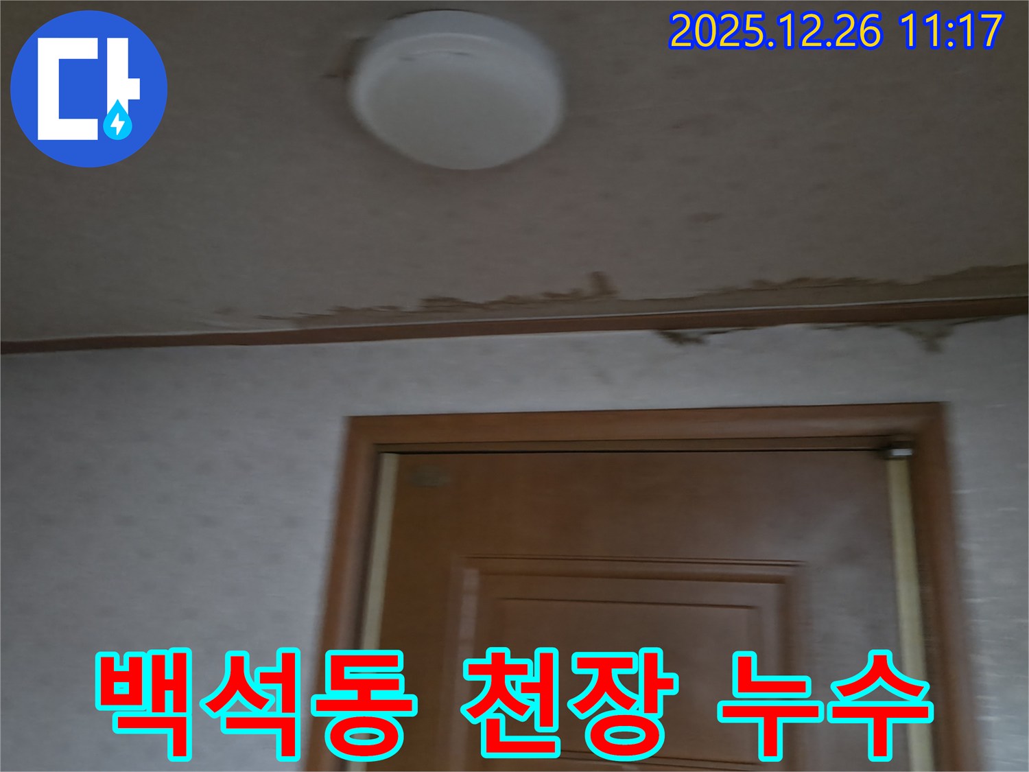 일산동구 백석동 천장 누수 - 누수 원인부터 완벽한 해결까지 책임지는 누수 전문 업체