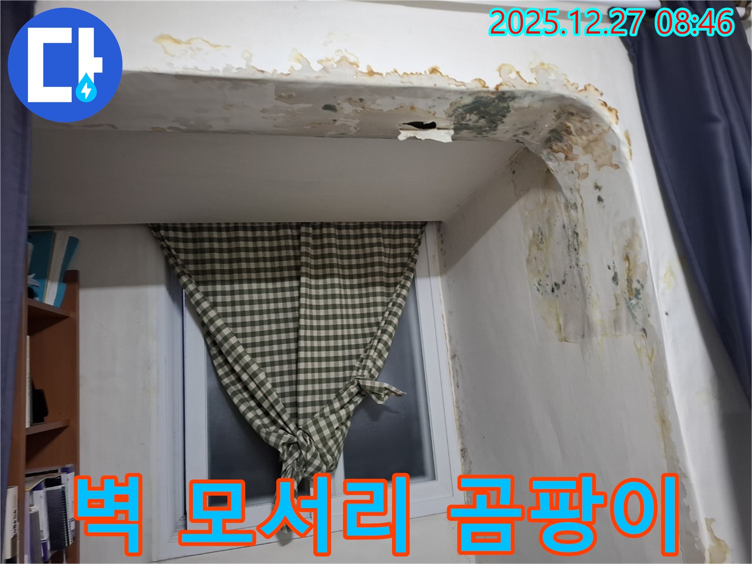 석촌동 벽 모서리 곰팡이 - 습기로 인한 곰팡이 발생