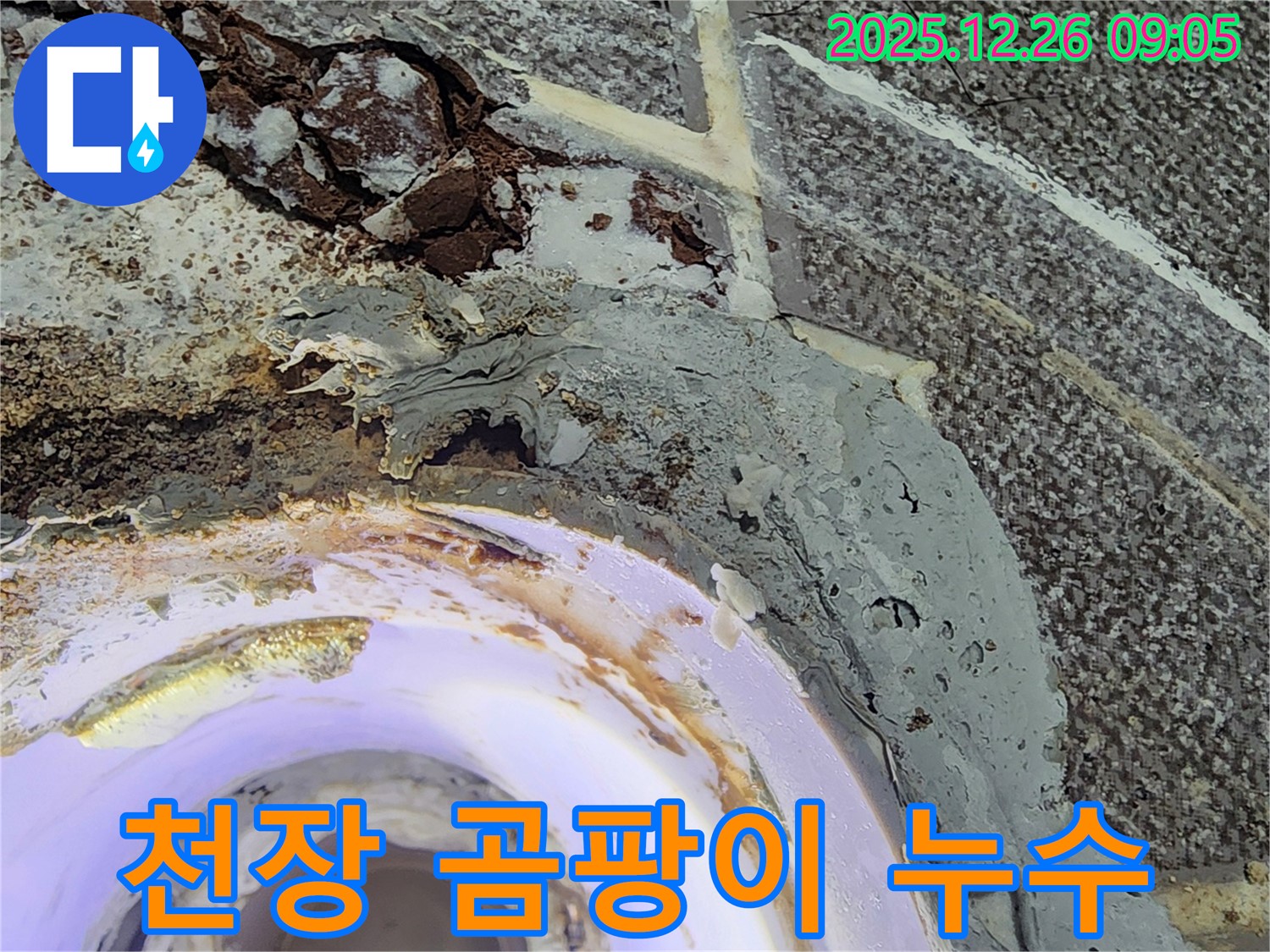 천장 곰팡이 누수 - 누수로 인해 발생한 천장 곰팡이와 손상된 벽면을 보여줍니다.
