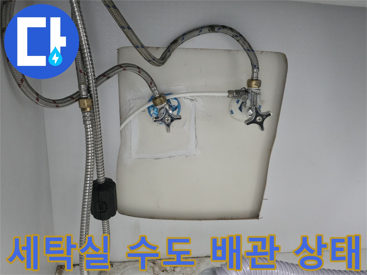 양주 옥정동-세탁실 수도 배관 및 연결 부위 점검 모습