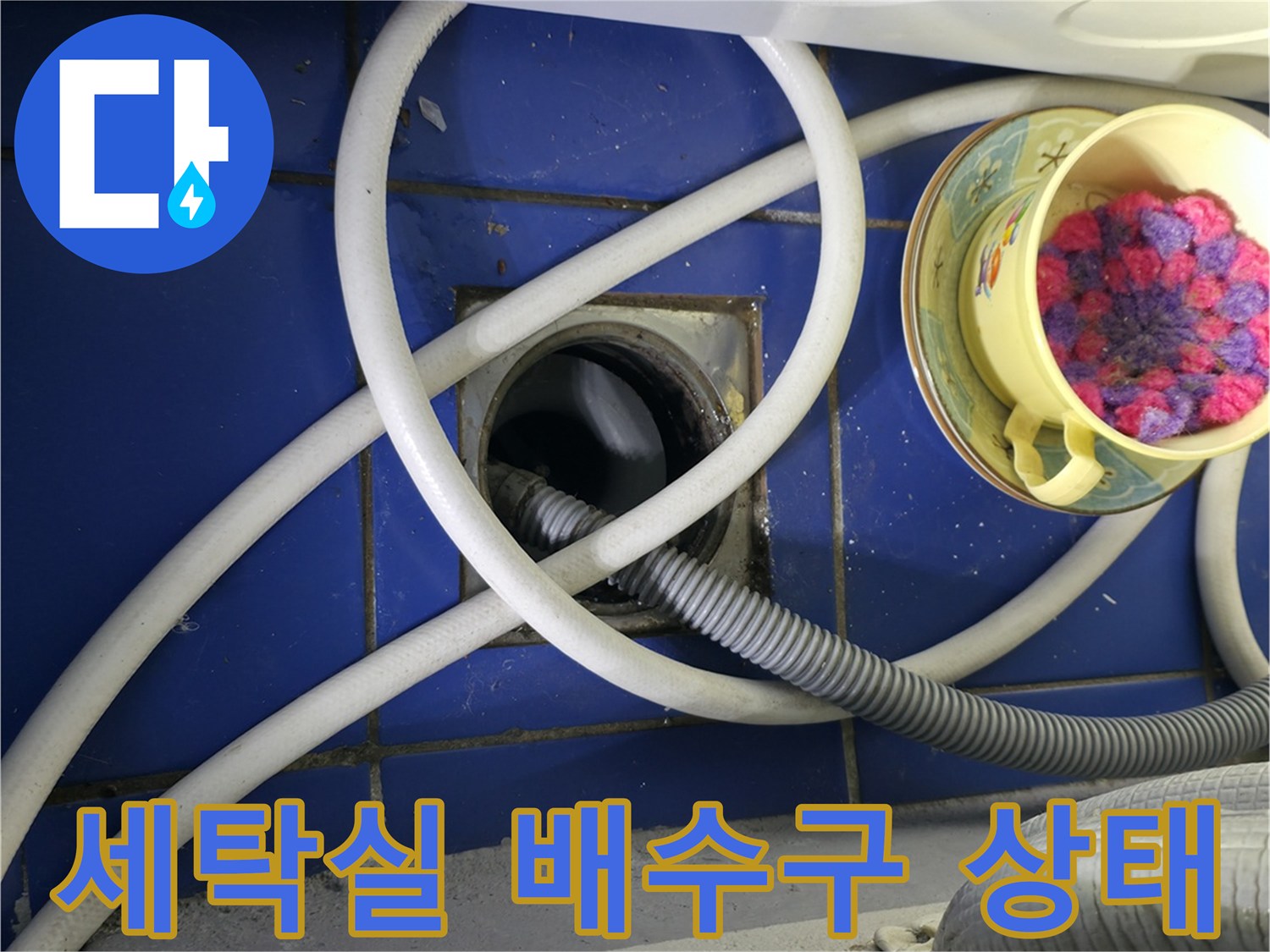 성동구 아파트 세탁실 하수구 배수구 주변 점검 사진