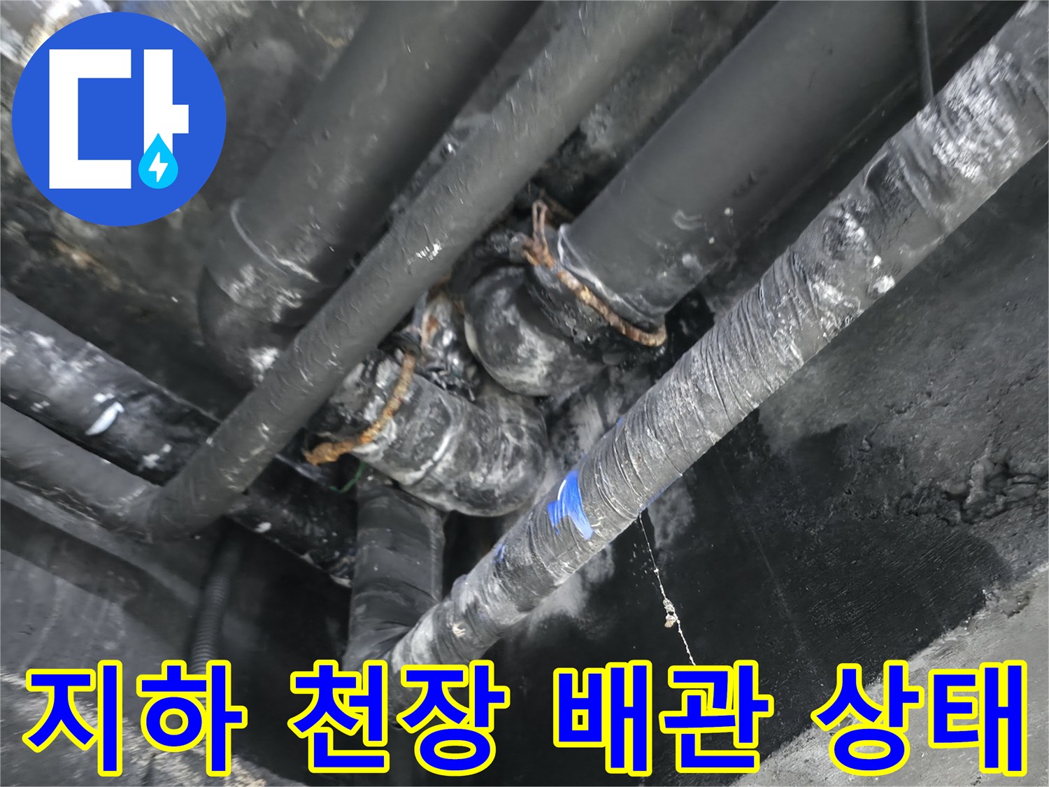 용인 수지구 지하층-복잡하게 얽힌 배관과 물샘 흔적