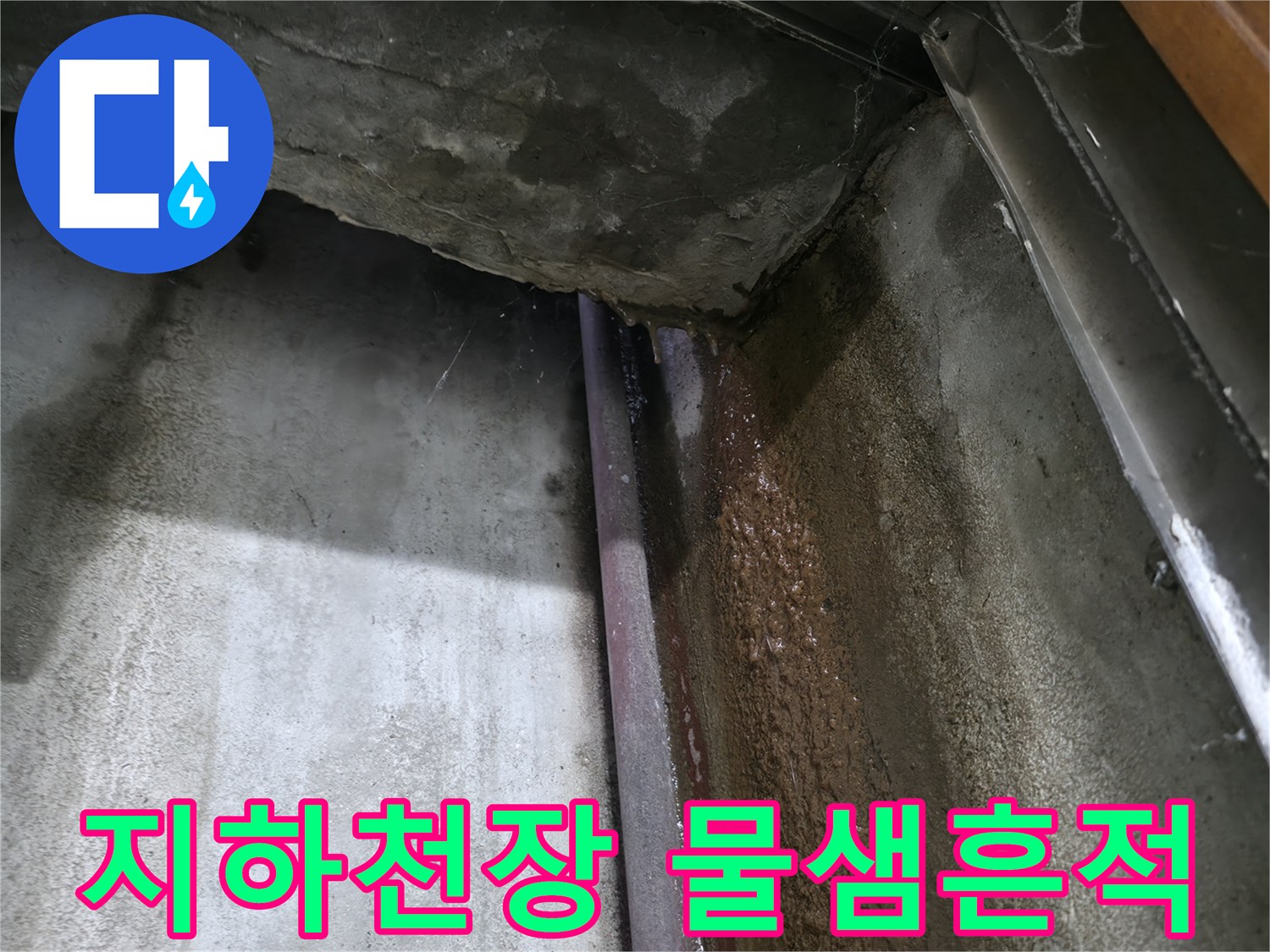 용인 수지구 지하층 천장 벽면의 누수 흔적과 습기 상태