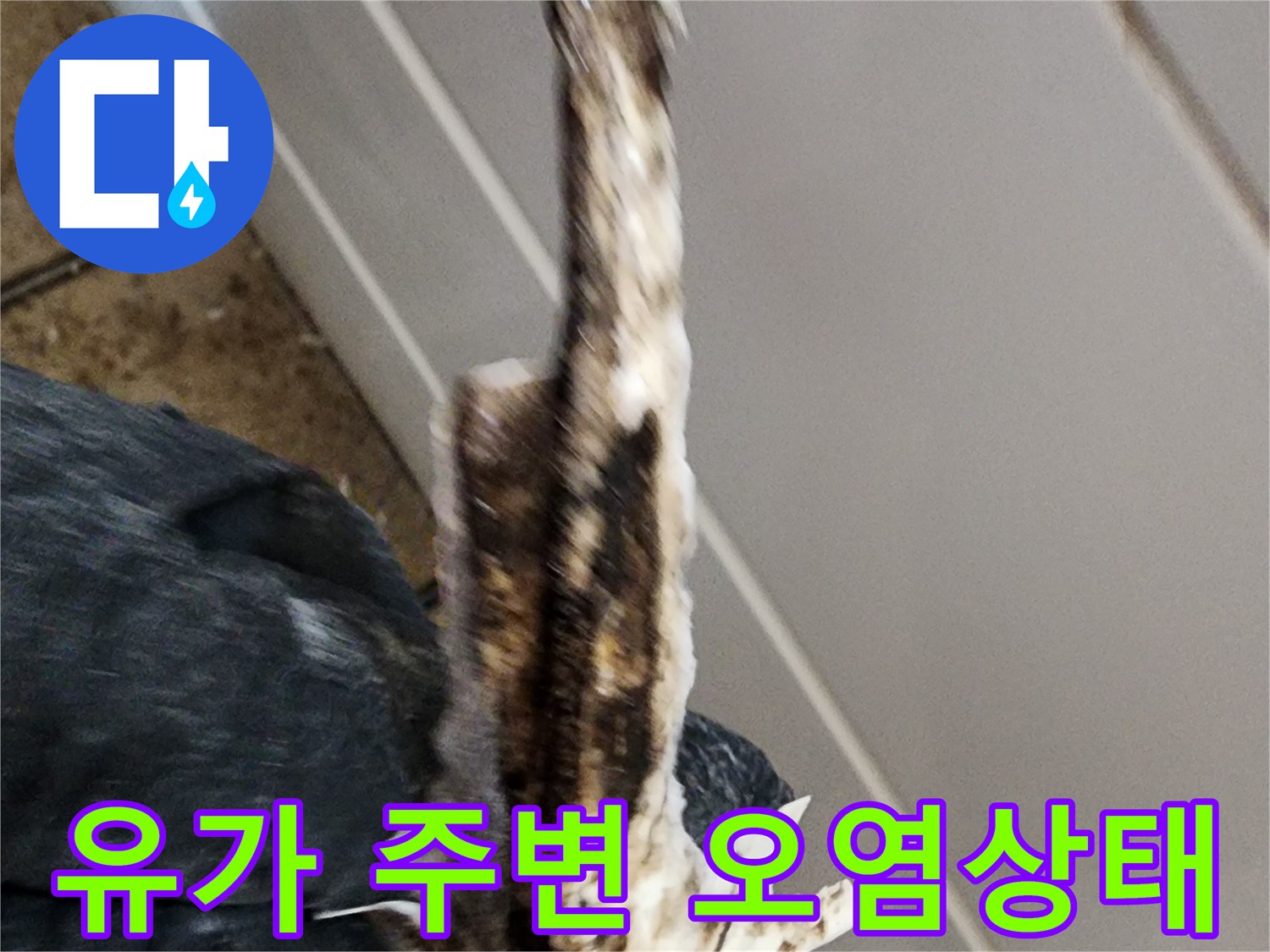 배관 틈새에 끼어 있는 이물질과 물때를 근접 촬영한 사진입니다.