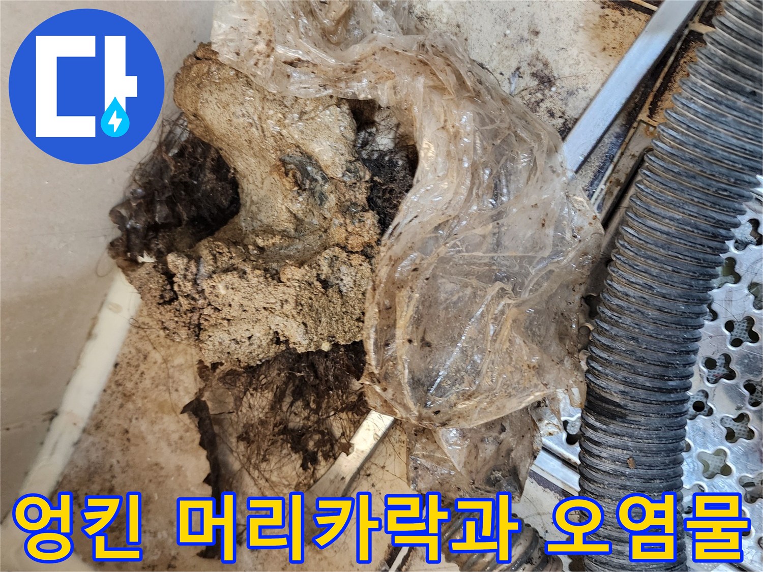 배관-틈새에-쌓여있는-머리카락-및-오염물