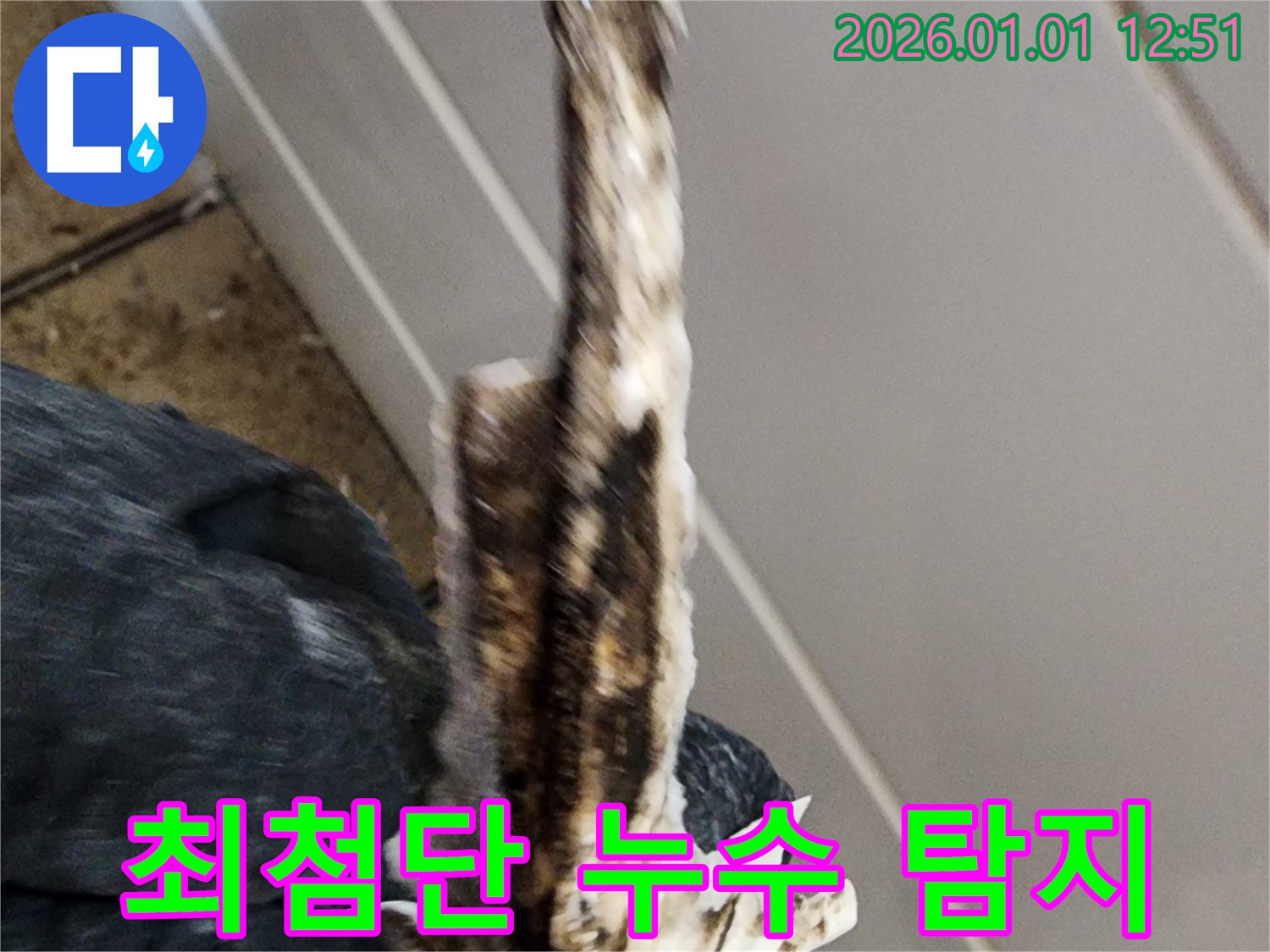 일산 누수탐지 현장 - 최첨단 장비를 사용하여 숨은 누수를 탐지하는 모습