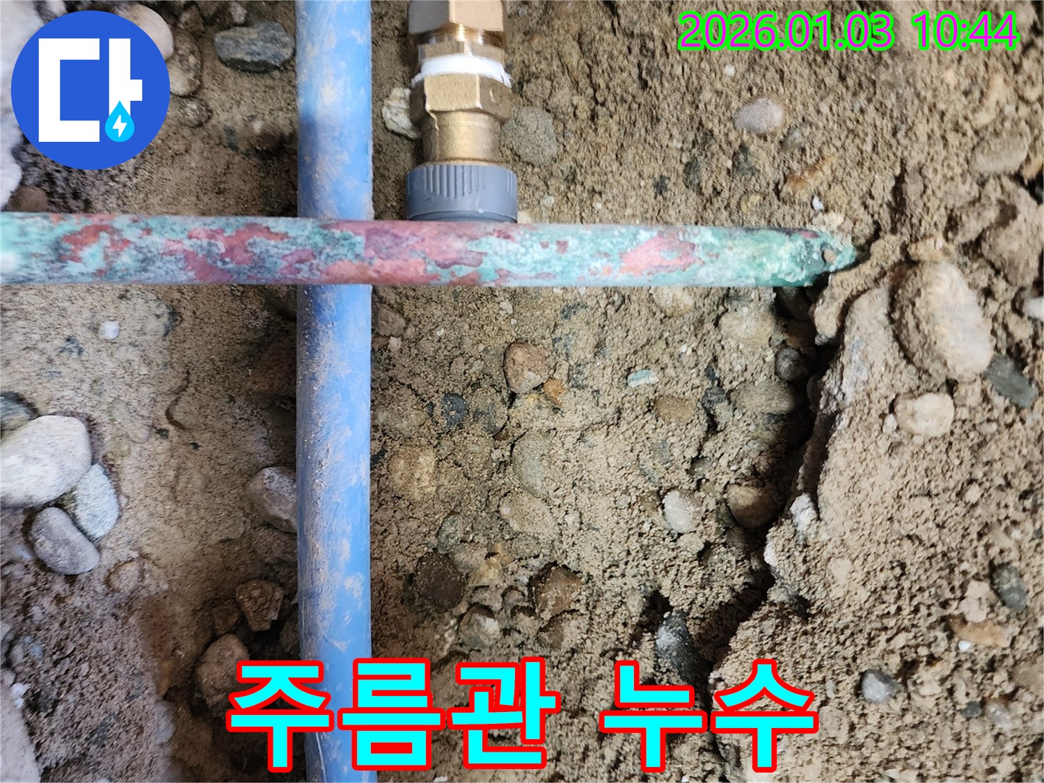 성동구 금호동4가 누수 - 낡은 주름관에서 발생한 누수 지점, 손상 부위 확인