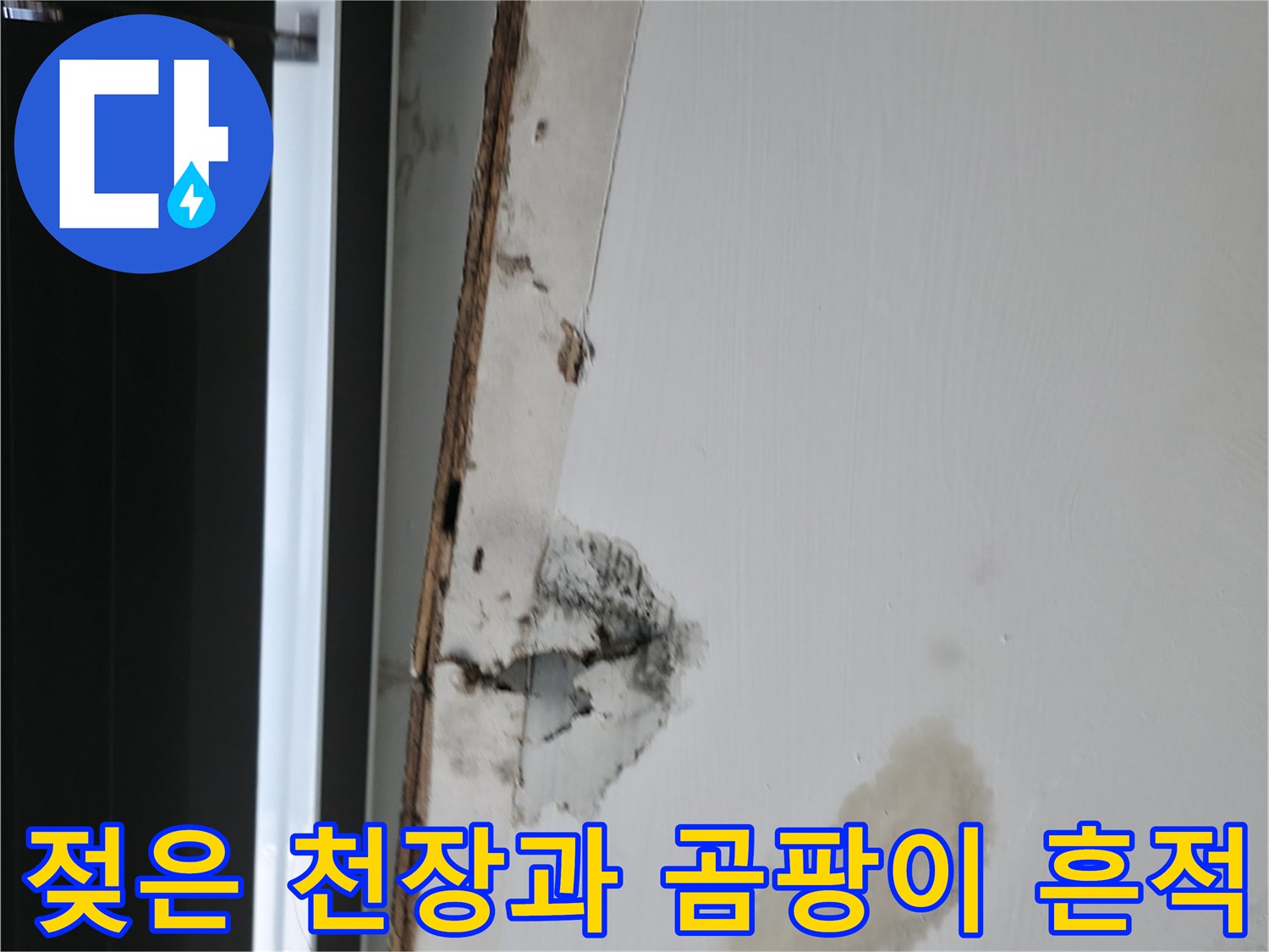 천장 마감재 부위-누수로 인한 변색 및 곰팡이 진행