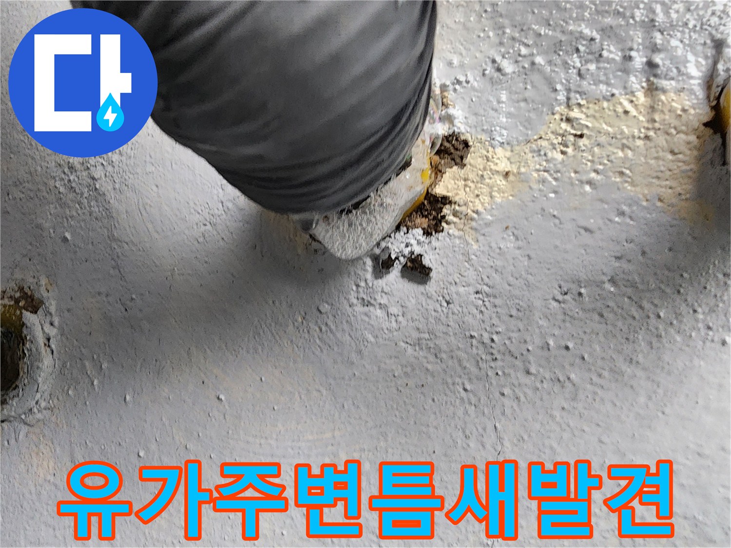 상계동-화장실-배수구-방수층-파손-및-노출된-배관