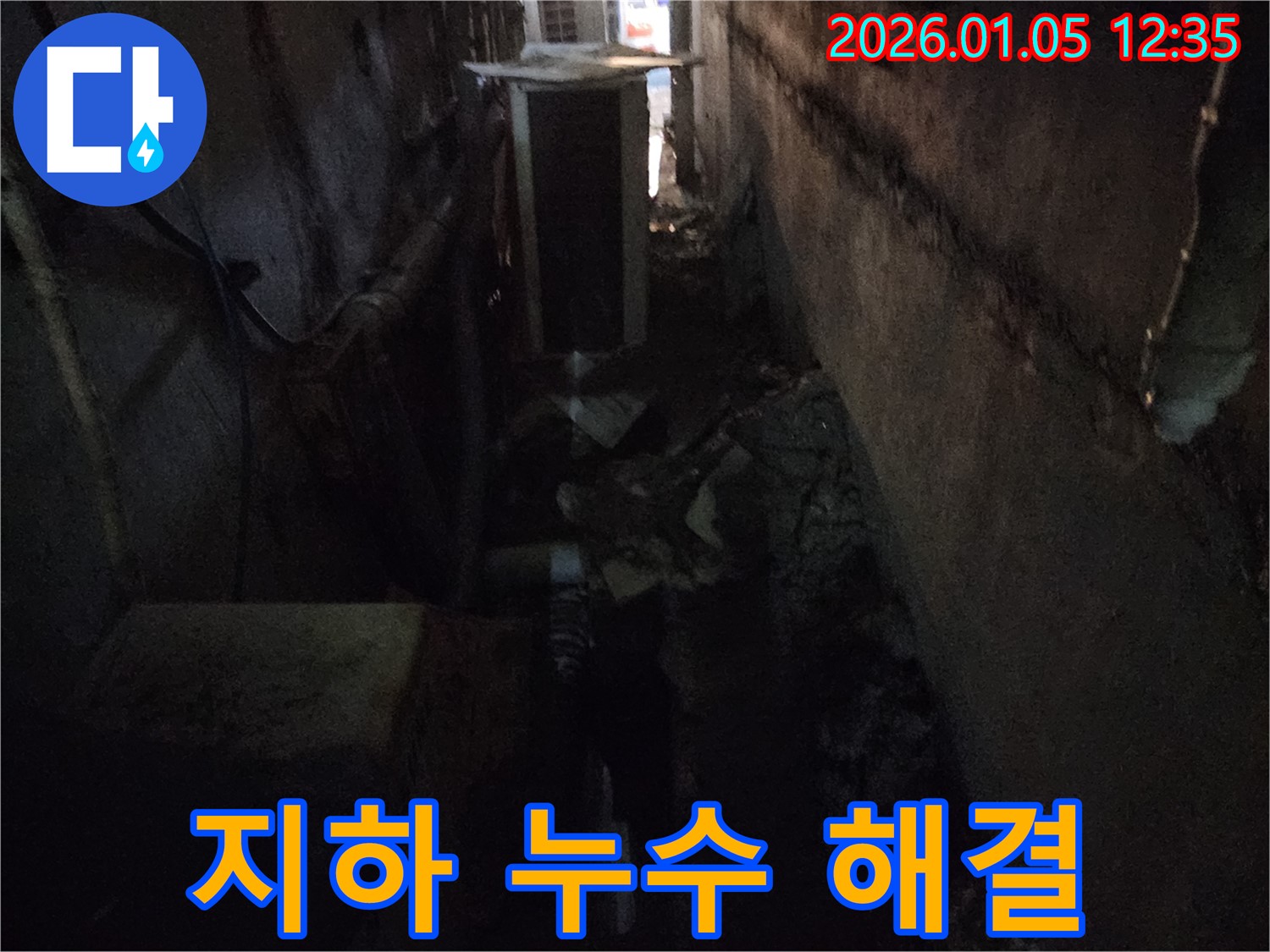 지하 누수 해결 - 곰팡이 가득한 공간, 깨끗하고 안전하게 복원