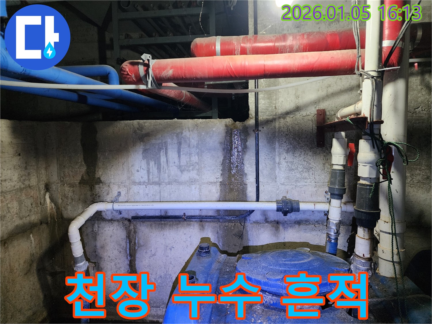 천장 누수 흔적 - 천장에 생긴 물 얼룩과 곰팡이