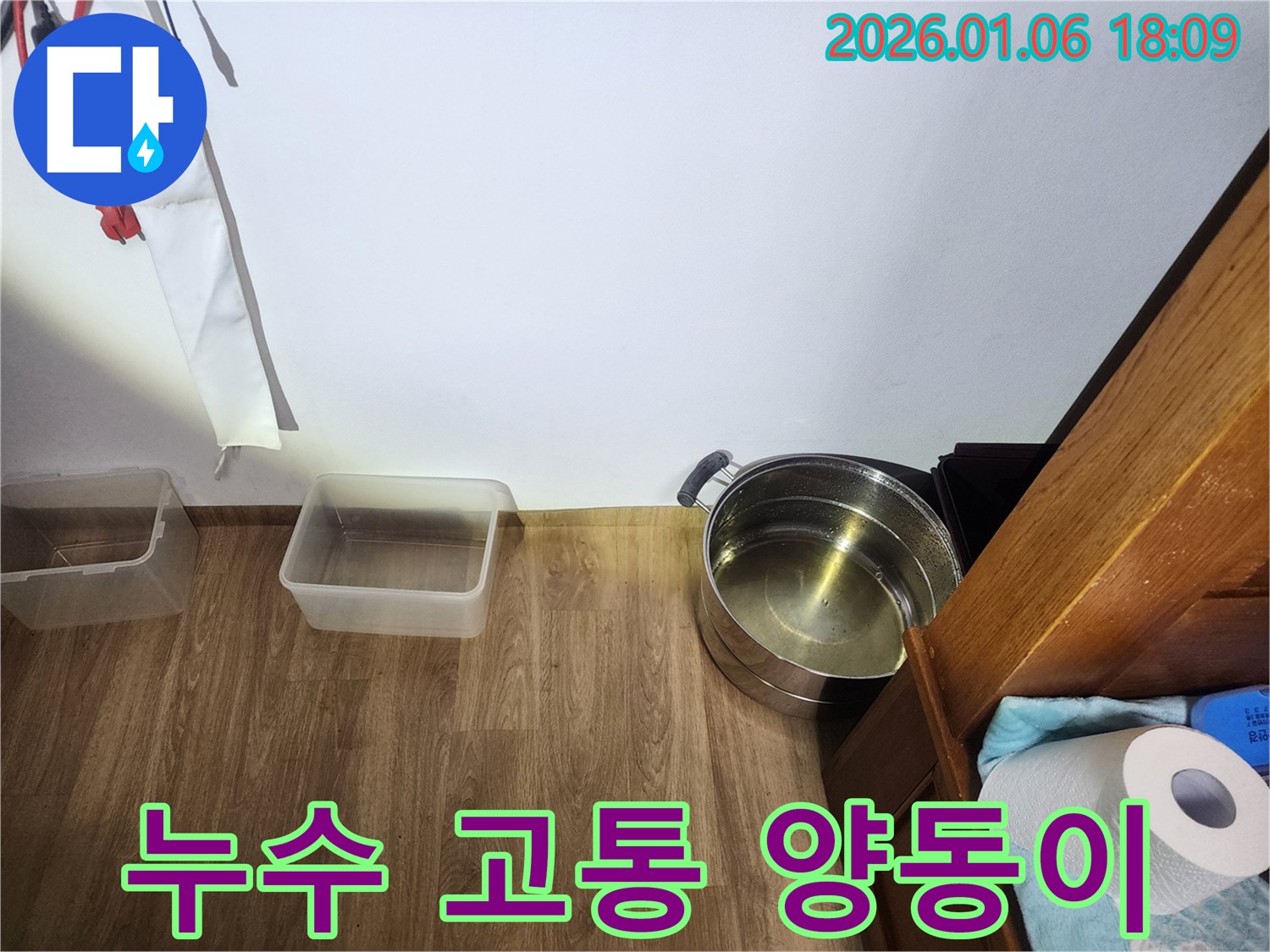 장안구 누수 현장 - 뚝뚝 떨어지는 누수의 고통, 양동이가 대신 절규하고 있습니다.