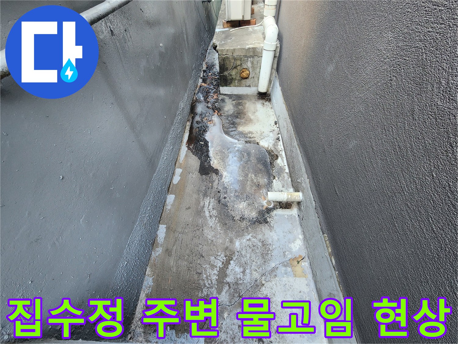 마포구 상가 지하-집수정 주변의 습기와 물 고임 상태