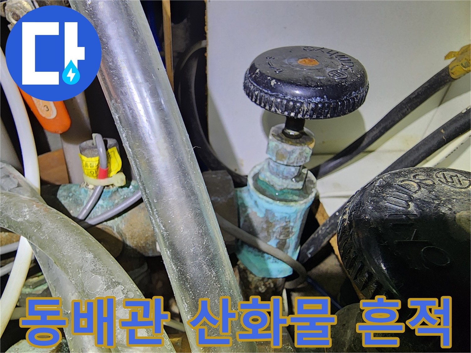 부식된 동배략 주변의 푸른색 산화 현상 상세 사진