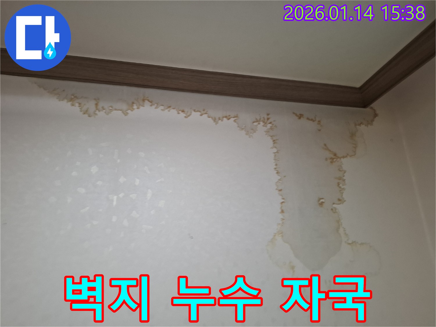 벽지 누수 자국 - 천장에서 시작된 누수로 인해 벽지가 젖어 얼룩 발생
