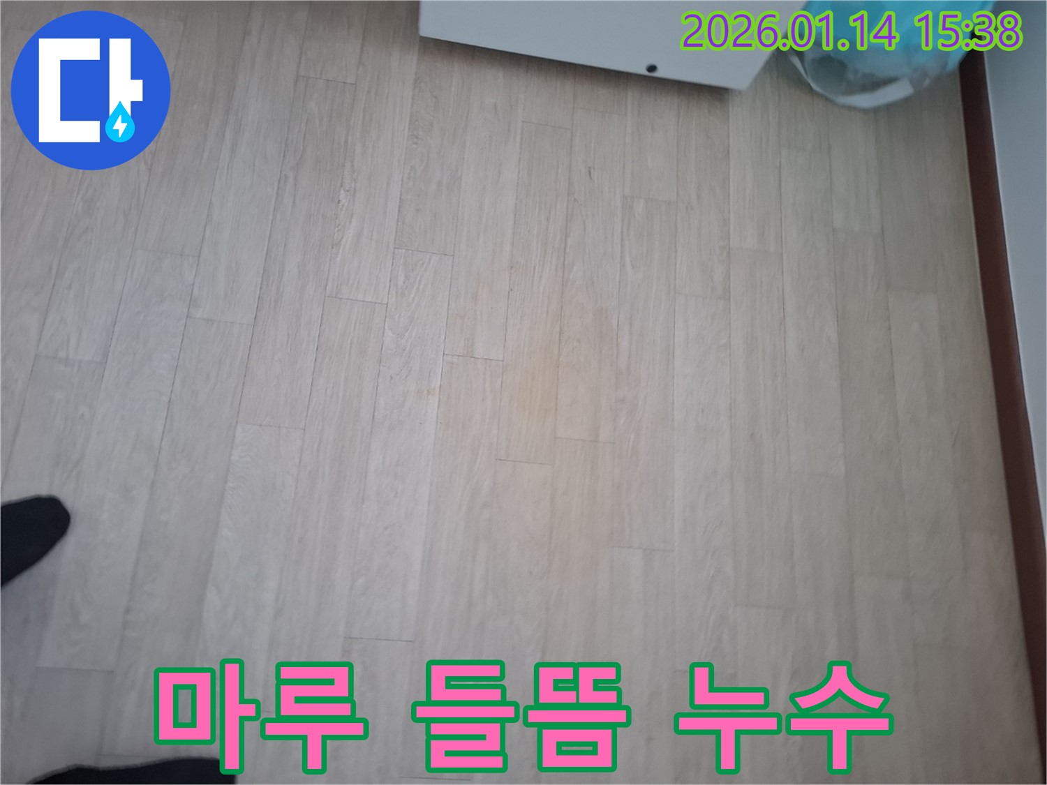 시흥 능곡동 누수탐지 - 마루 들뜸은 누수의 심각한 신호입니다. 즉시 전문가에게 문의하세요.