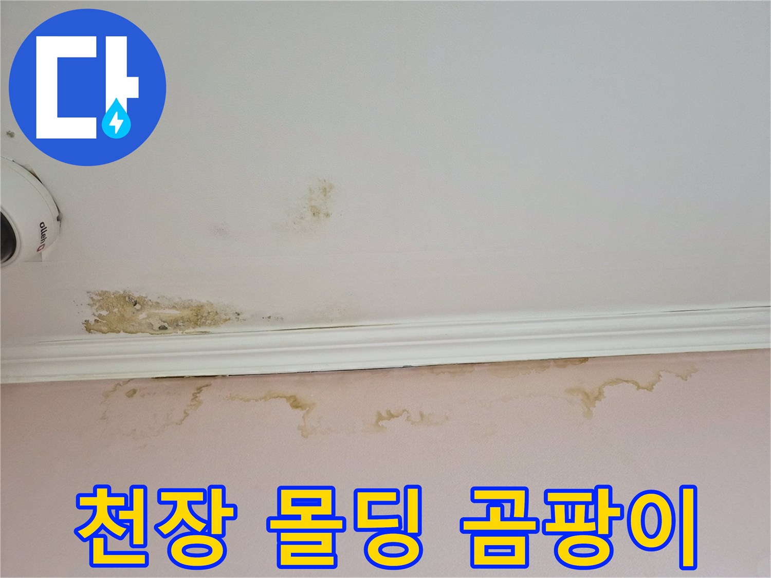 어린이집-천장-몰딩-주변의-곰팡이와-물자국-상태