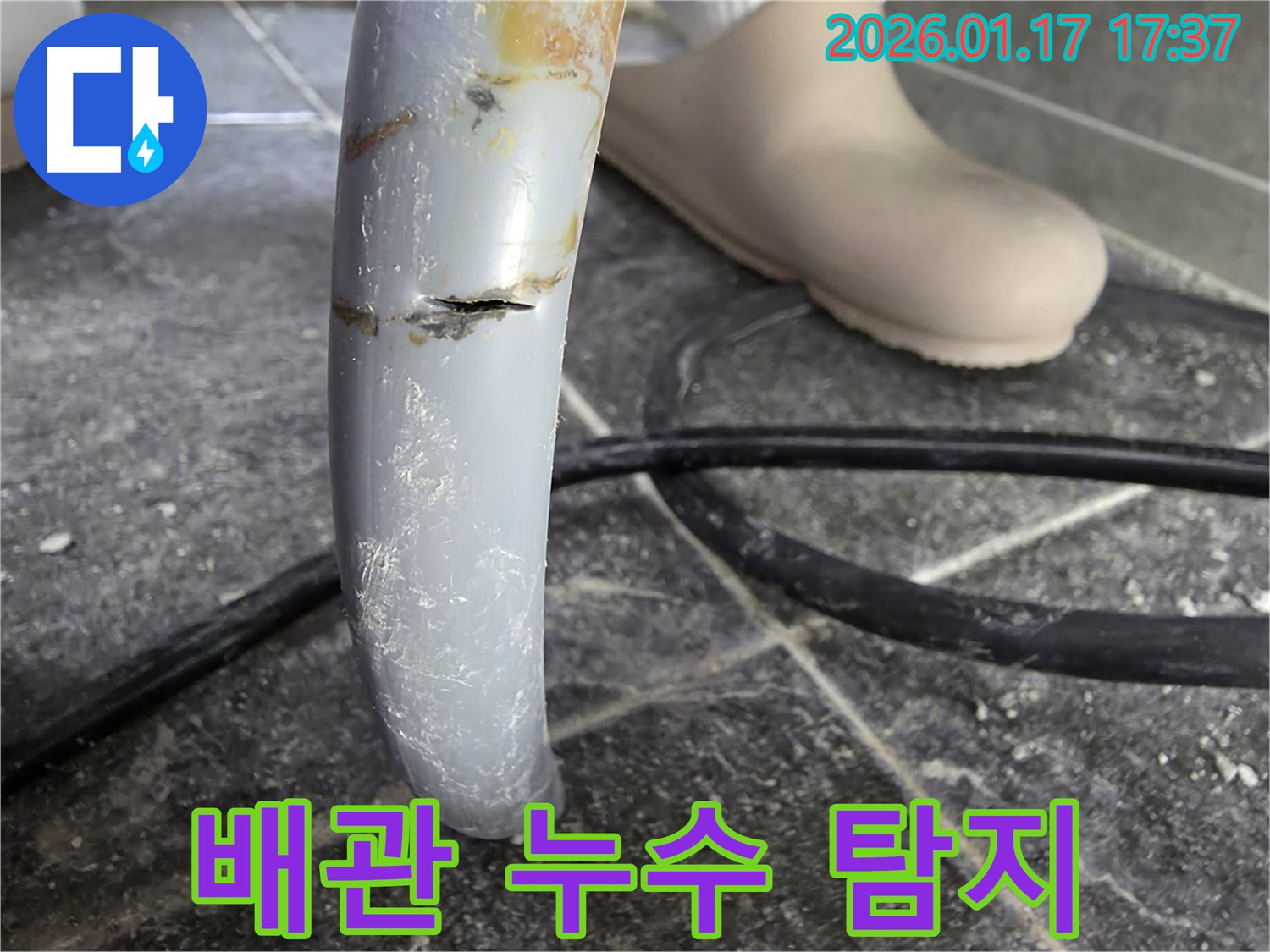 면목동 배관 누수 탐지 현장 - 전문 장비를 사용하여 배관 누수 지점을 정확하게 탐지하는 모습입니다.