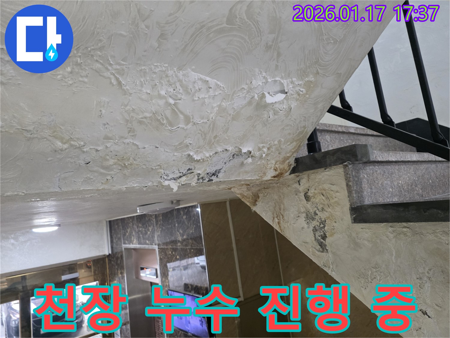 천장 누수 진행 중 - 물방울이 맺히고 젖어있는 천장은 누수가 현재 진행 중임을 나타냅니다.